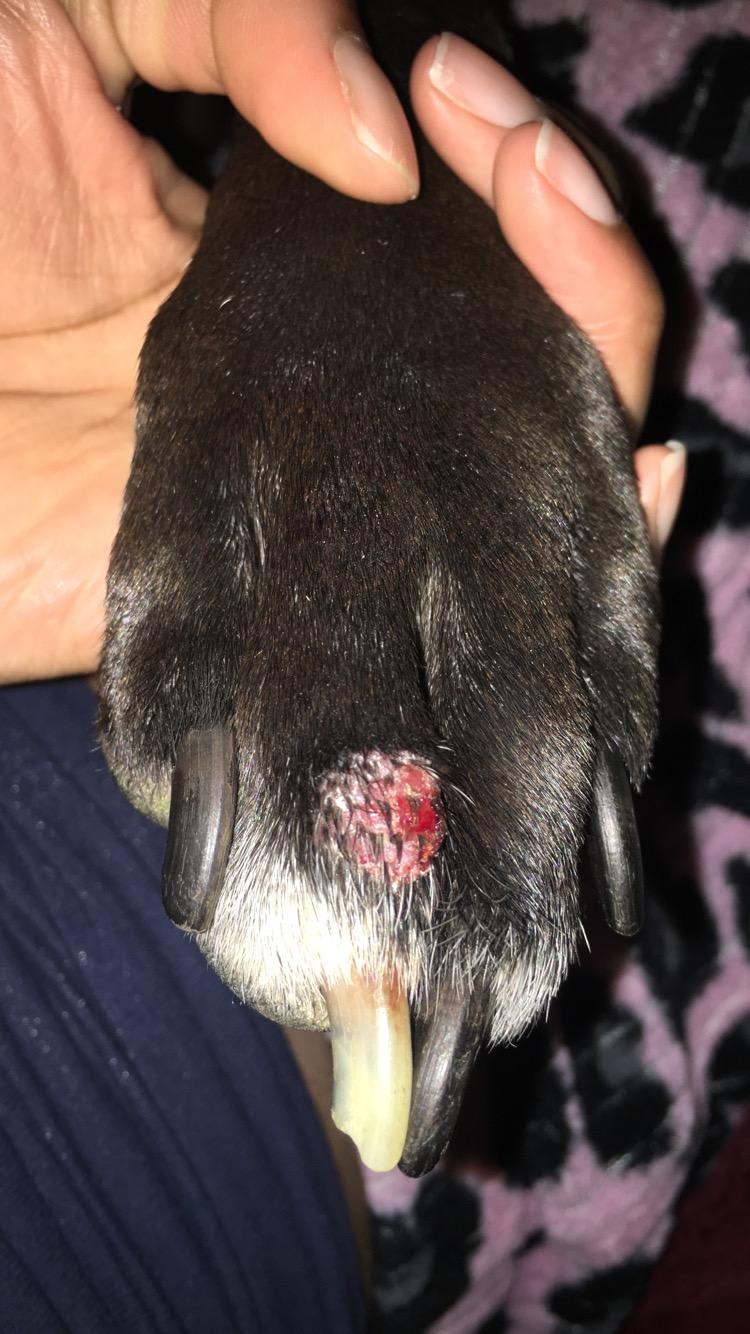 Question details sensitive content