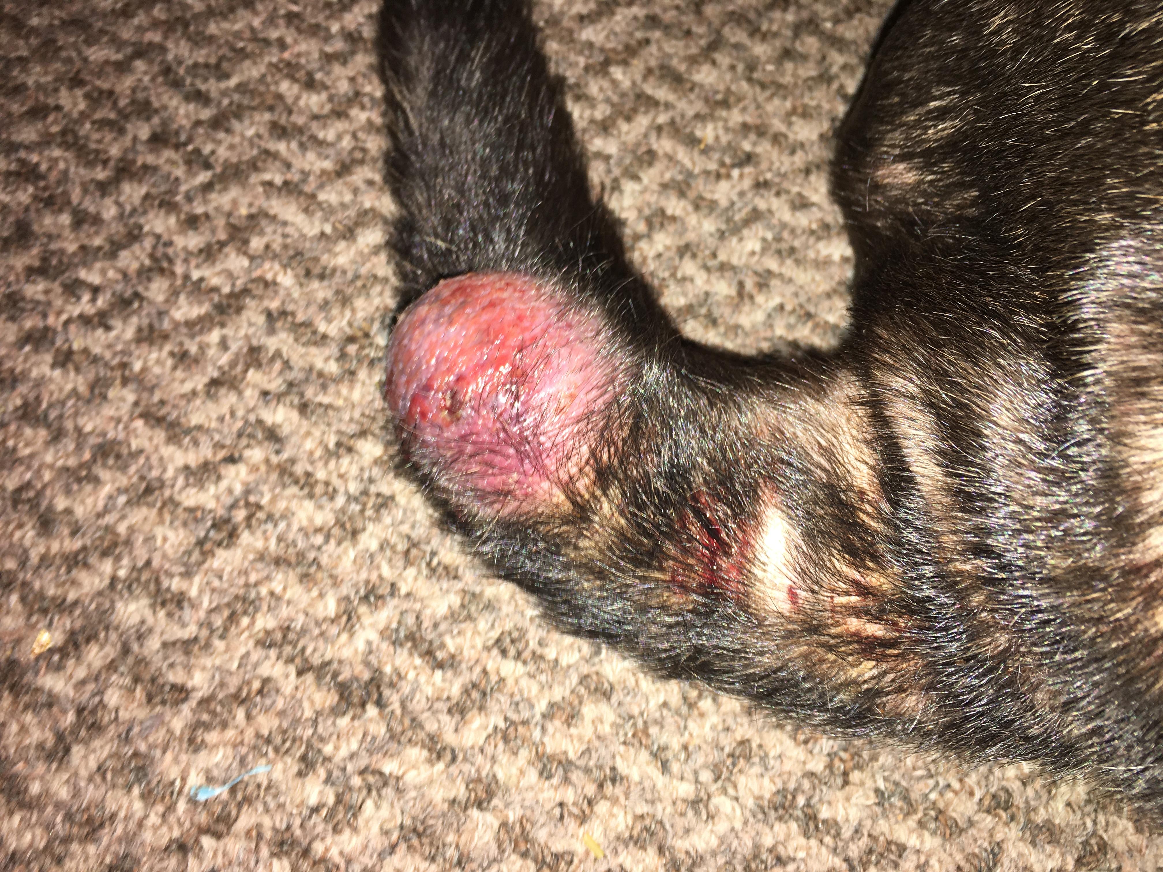 Question details sensitive content