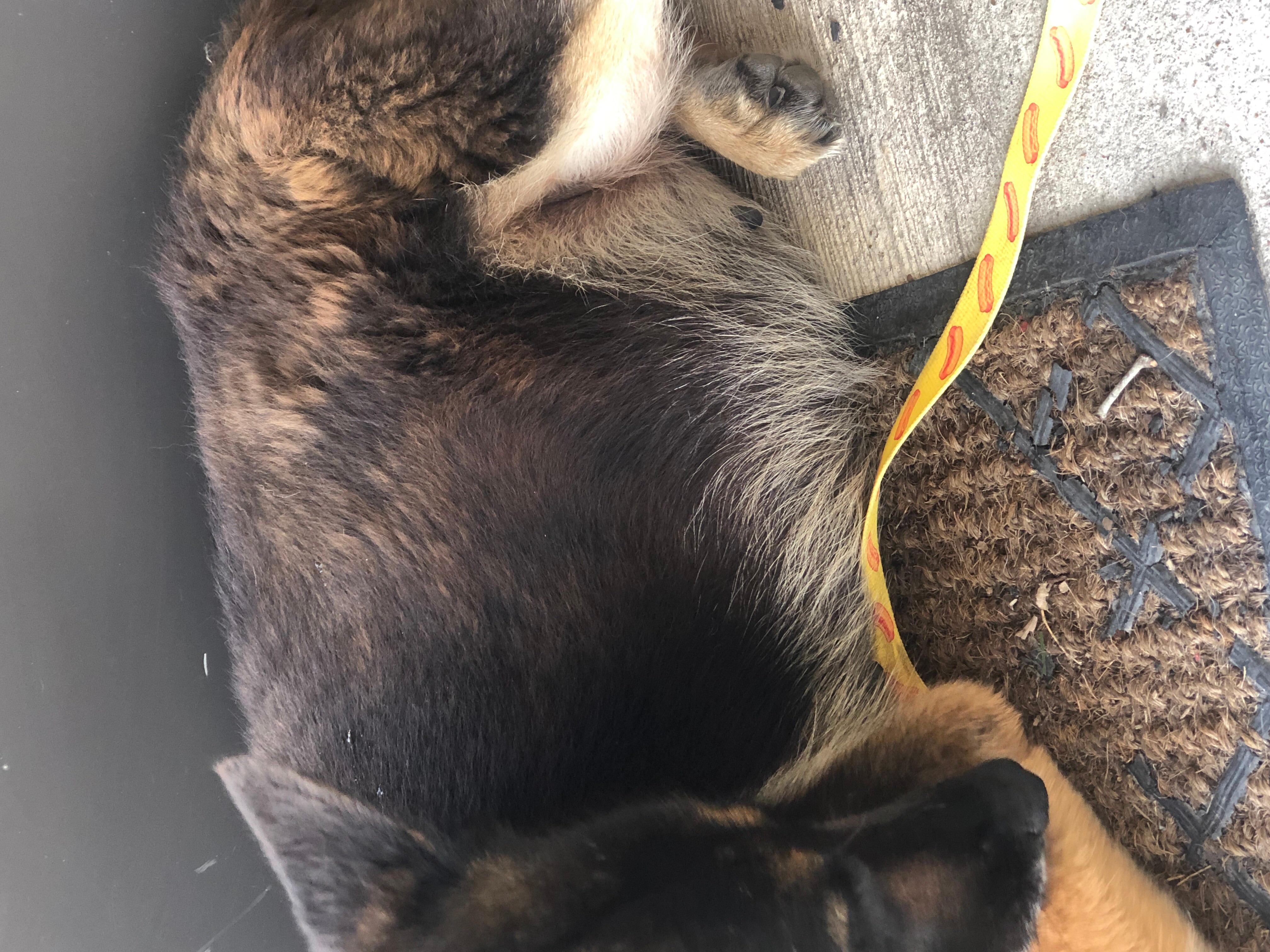 Question details sensitive content