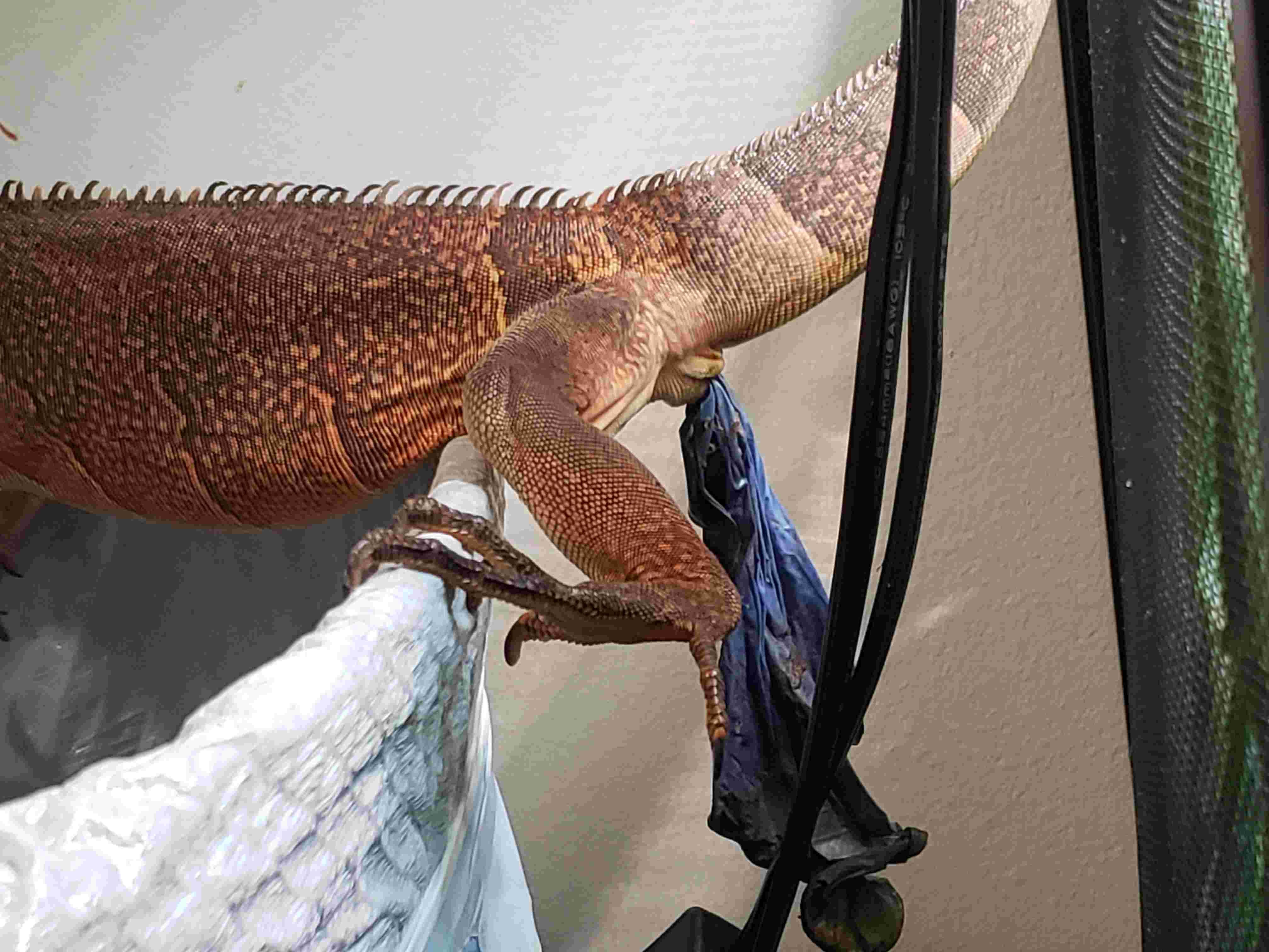 Question details sensitive content