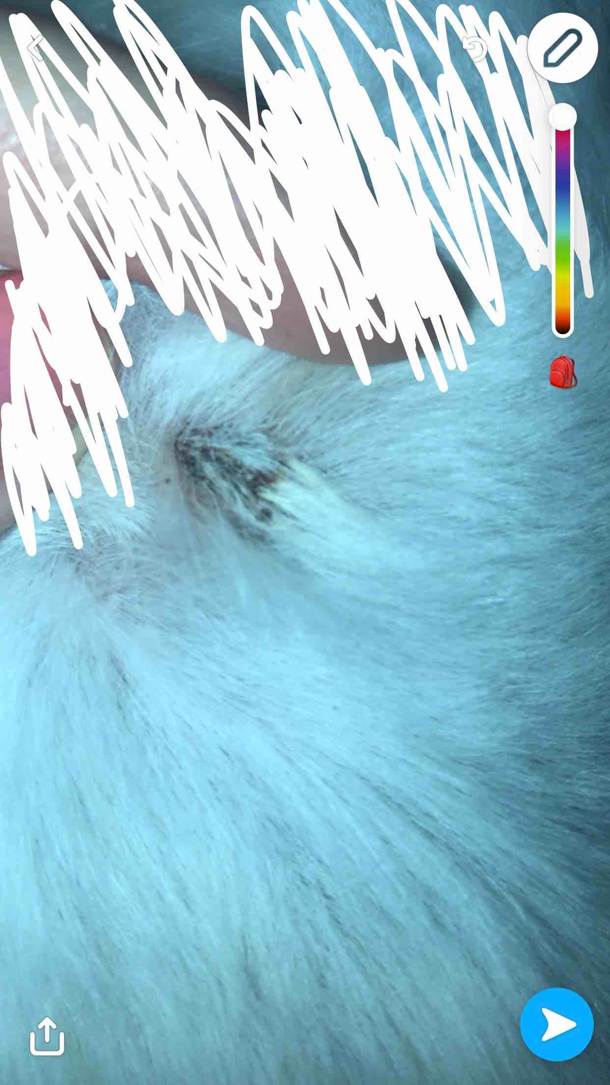 Question details sensitive content