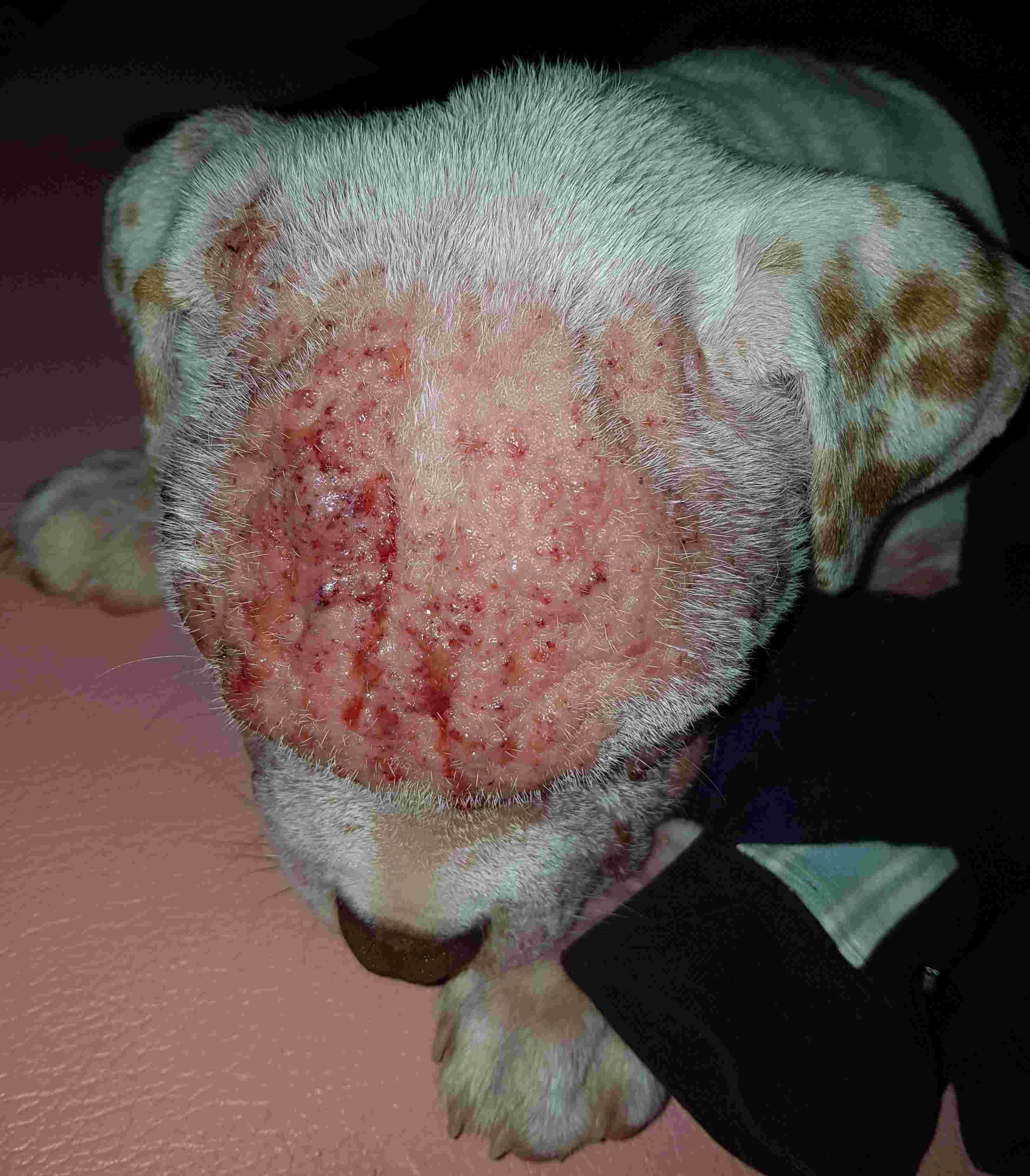 Question details sensitive content