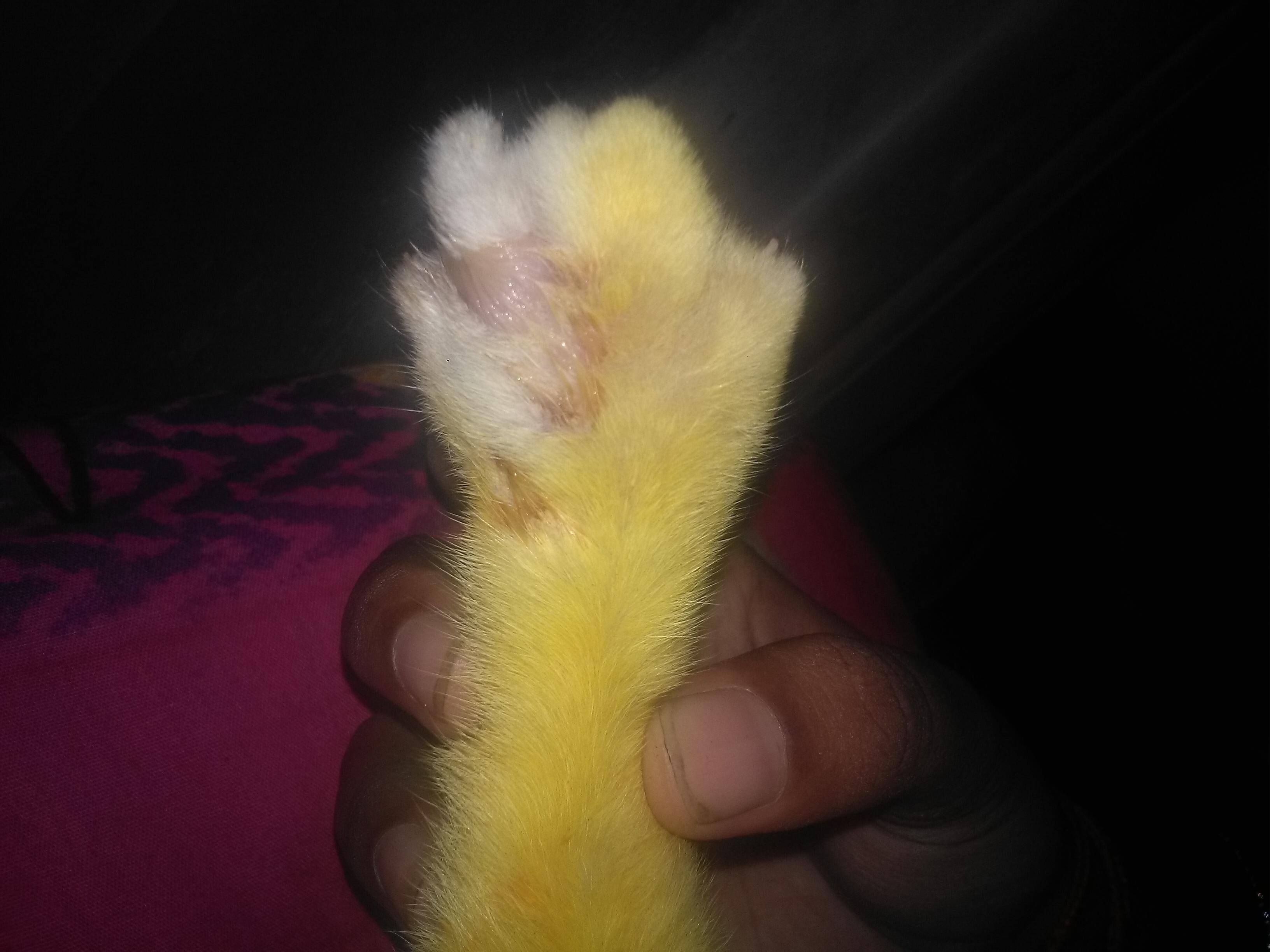 Question details sensitive content