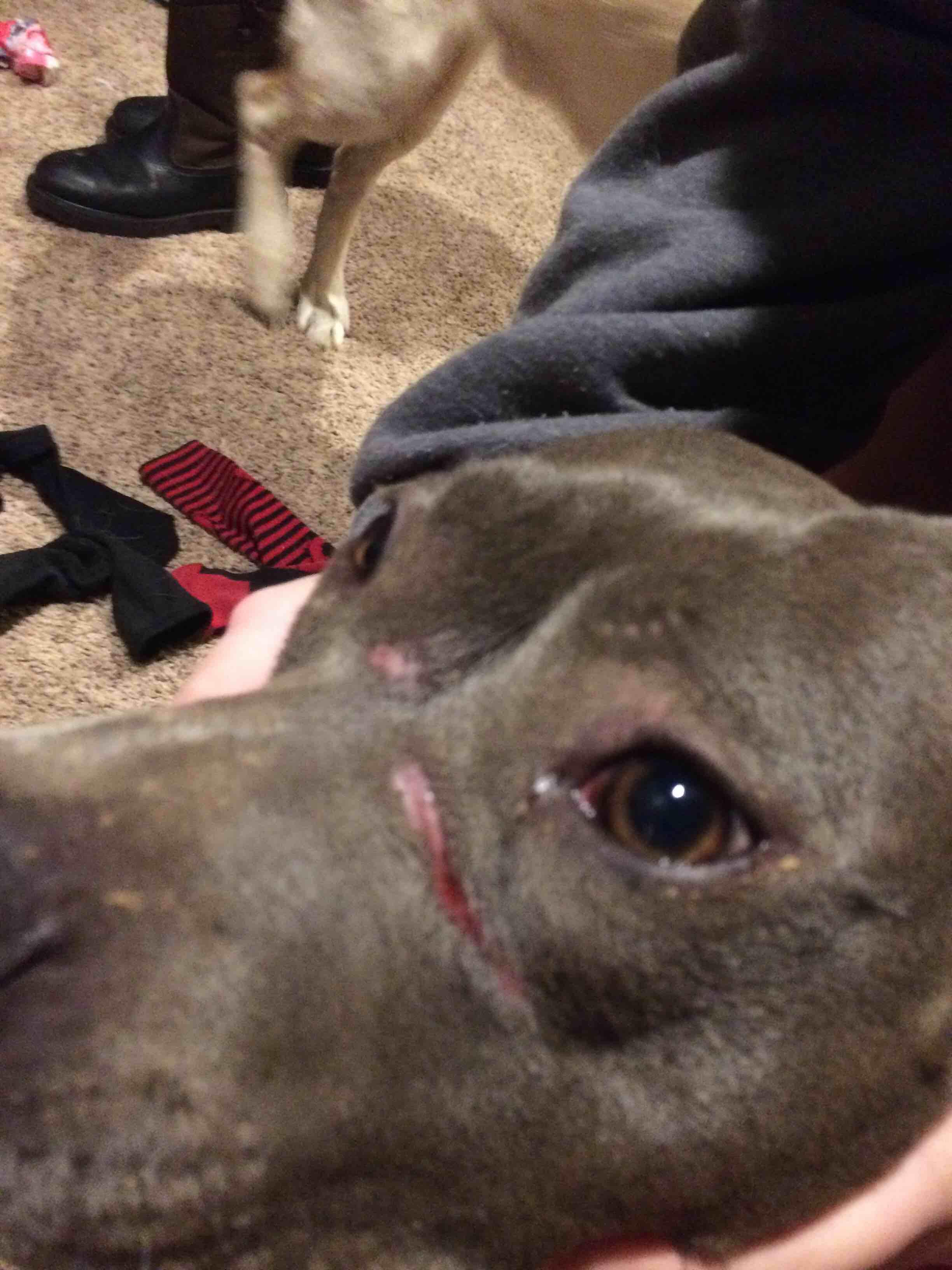 Question details sensitive content