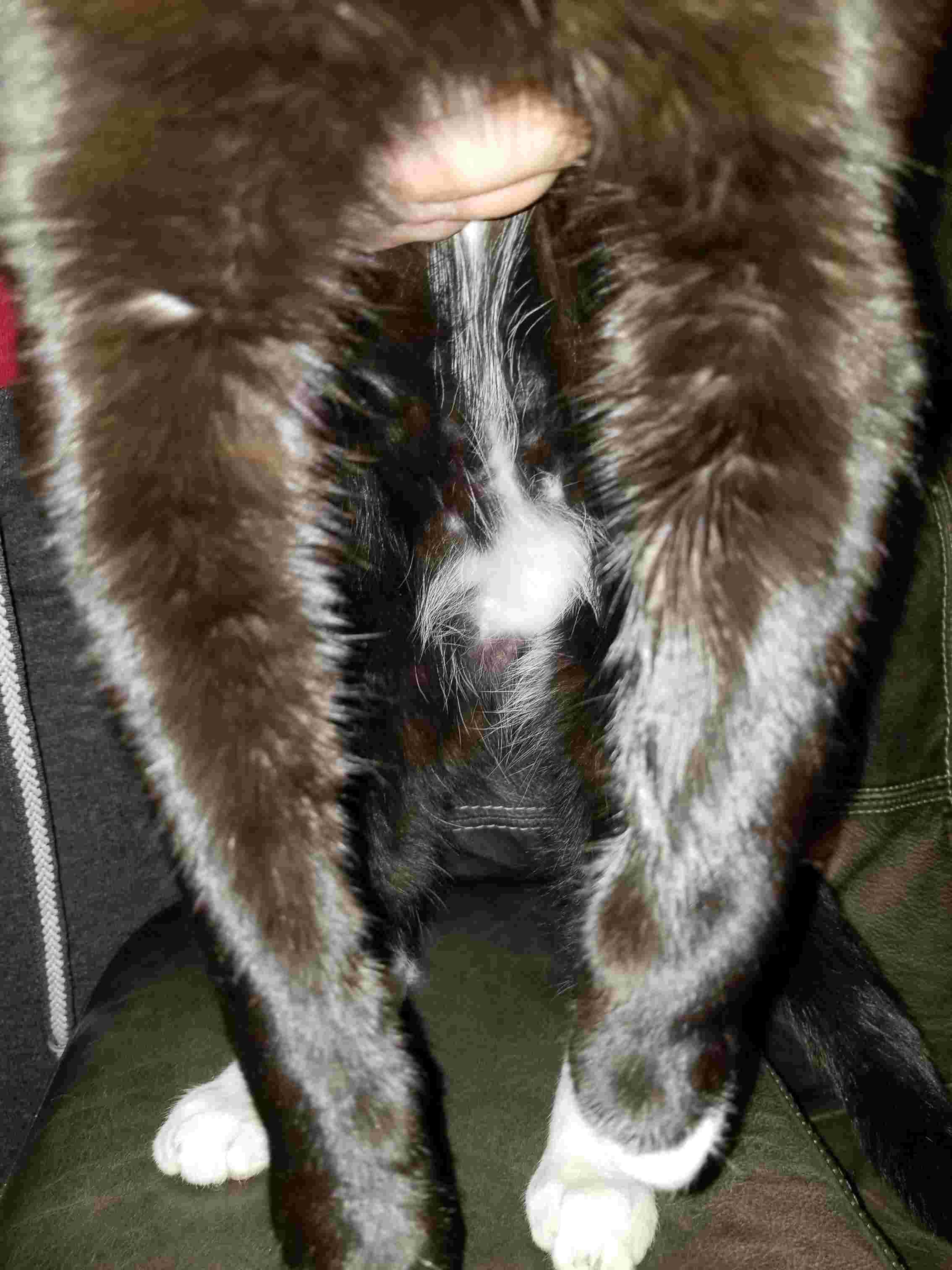 Question details sensitive content