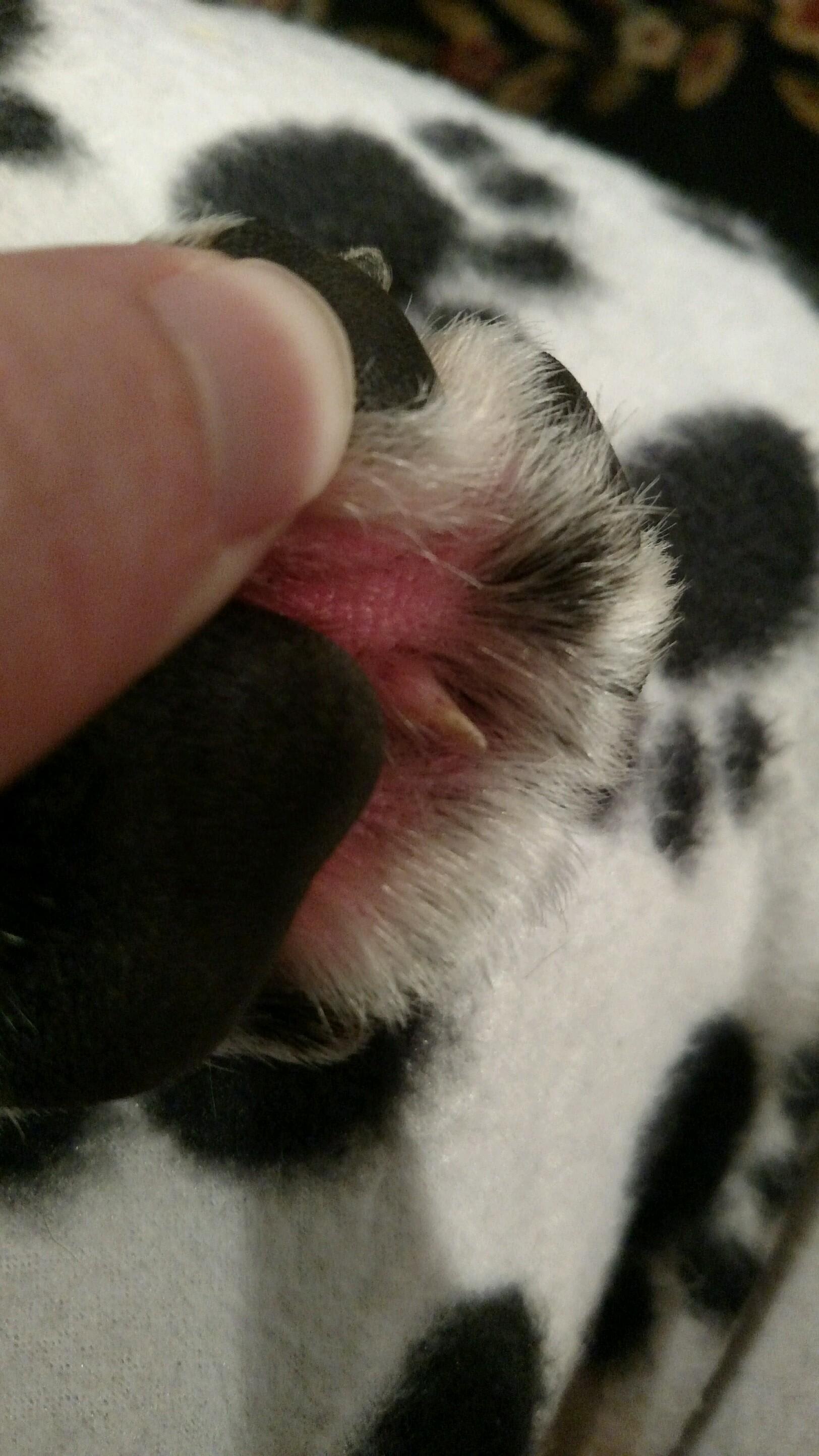 Question details sensitive content