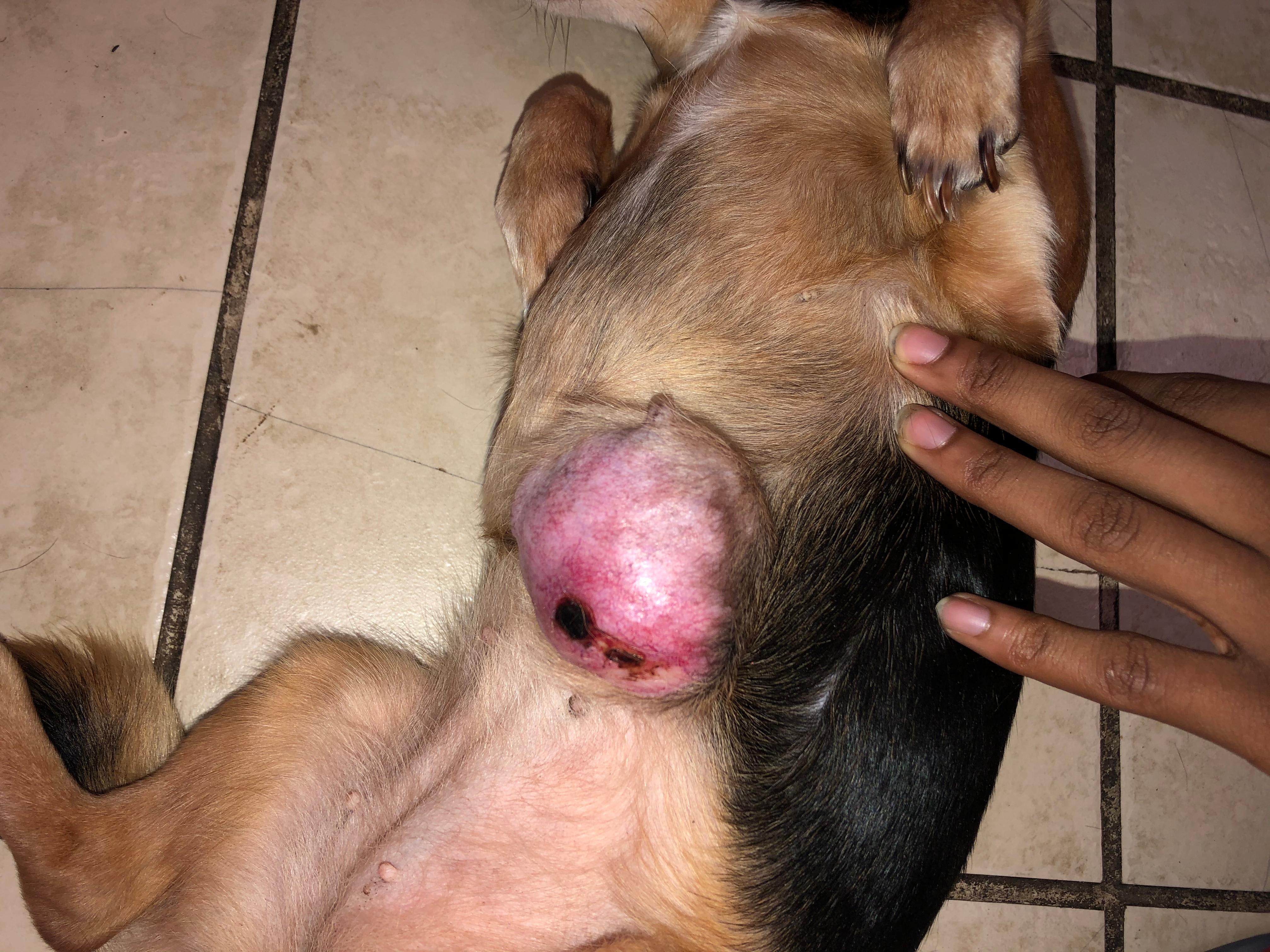 Question details sensitive content