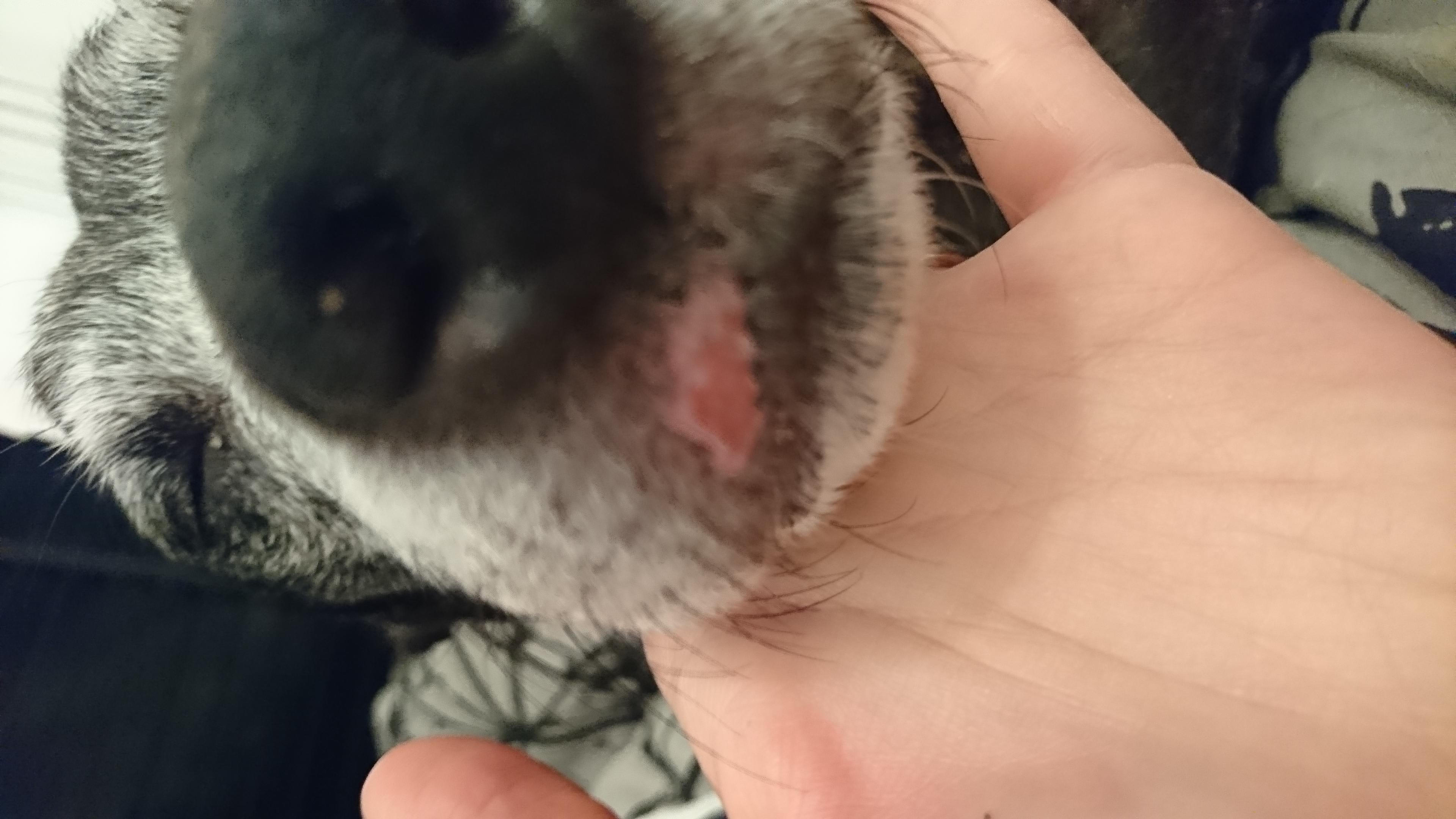 Question details sensitive content