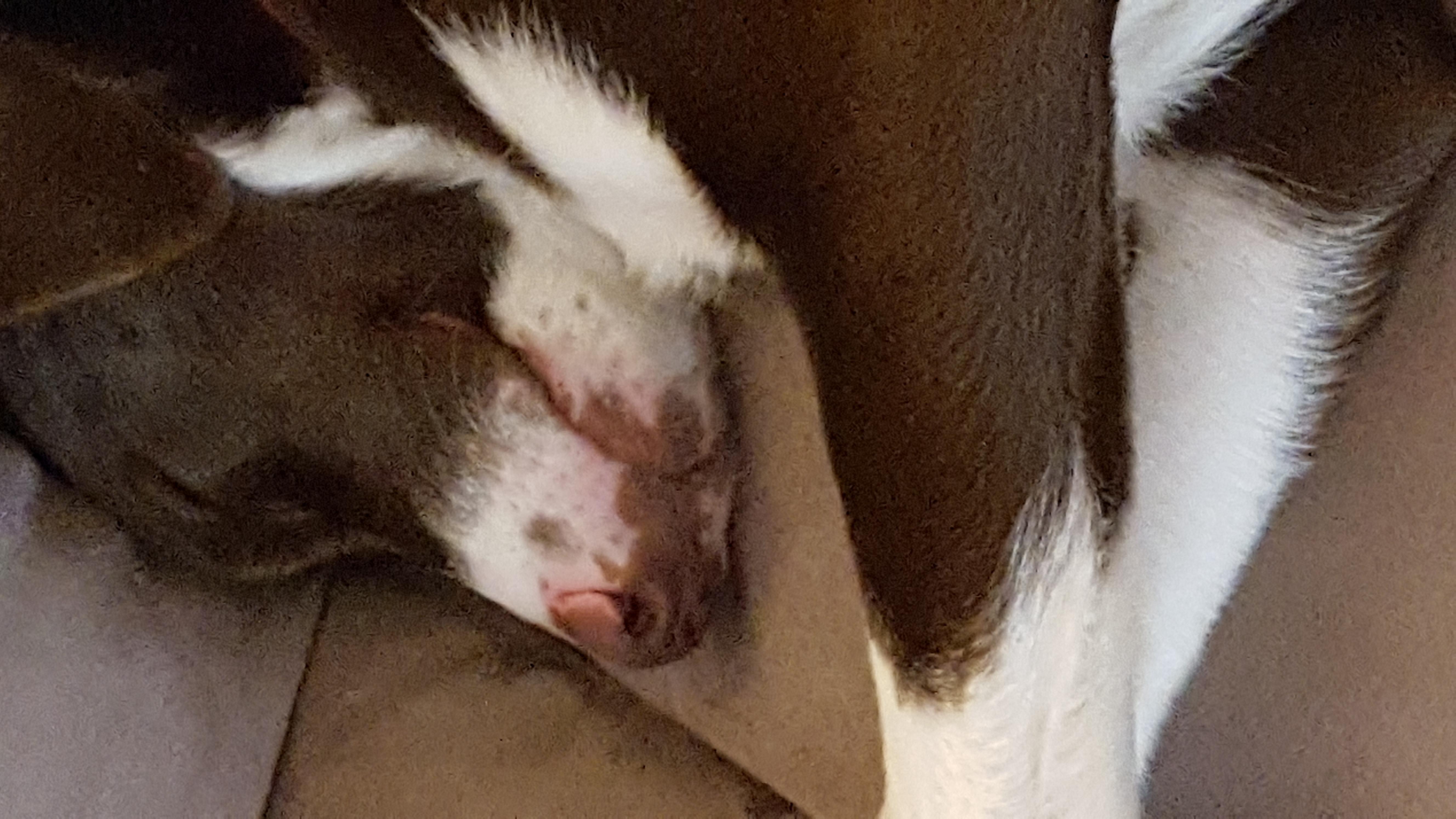 Question details sensitive content