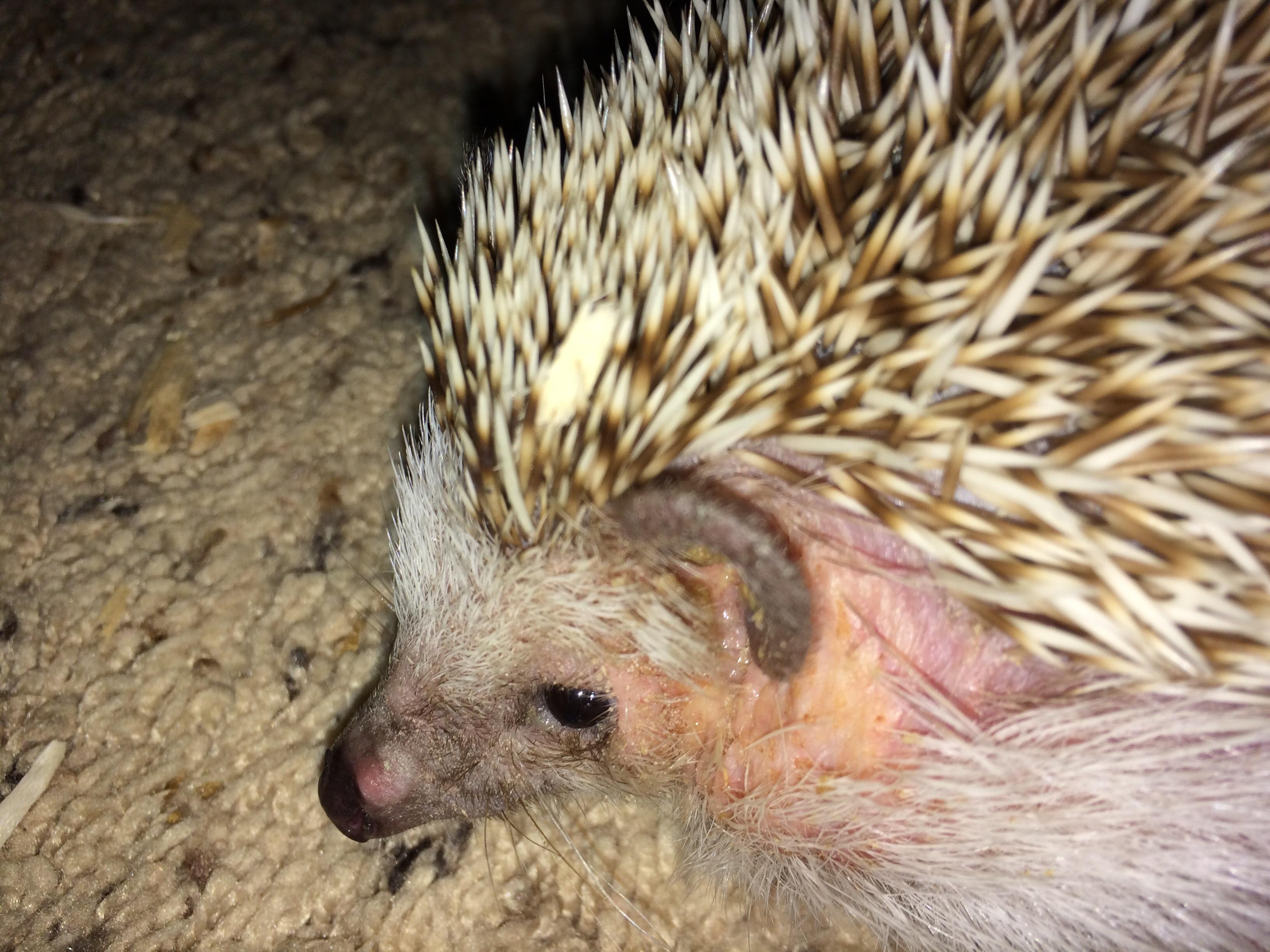 Question details sensitive content