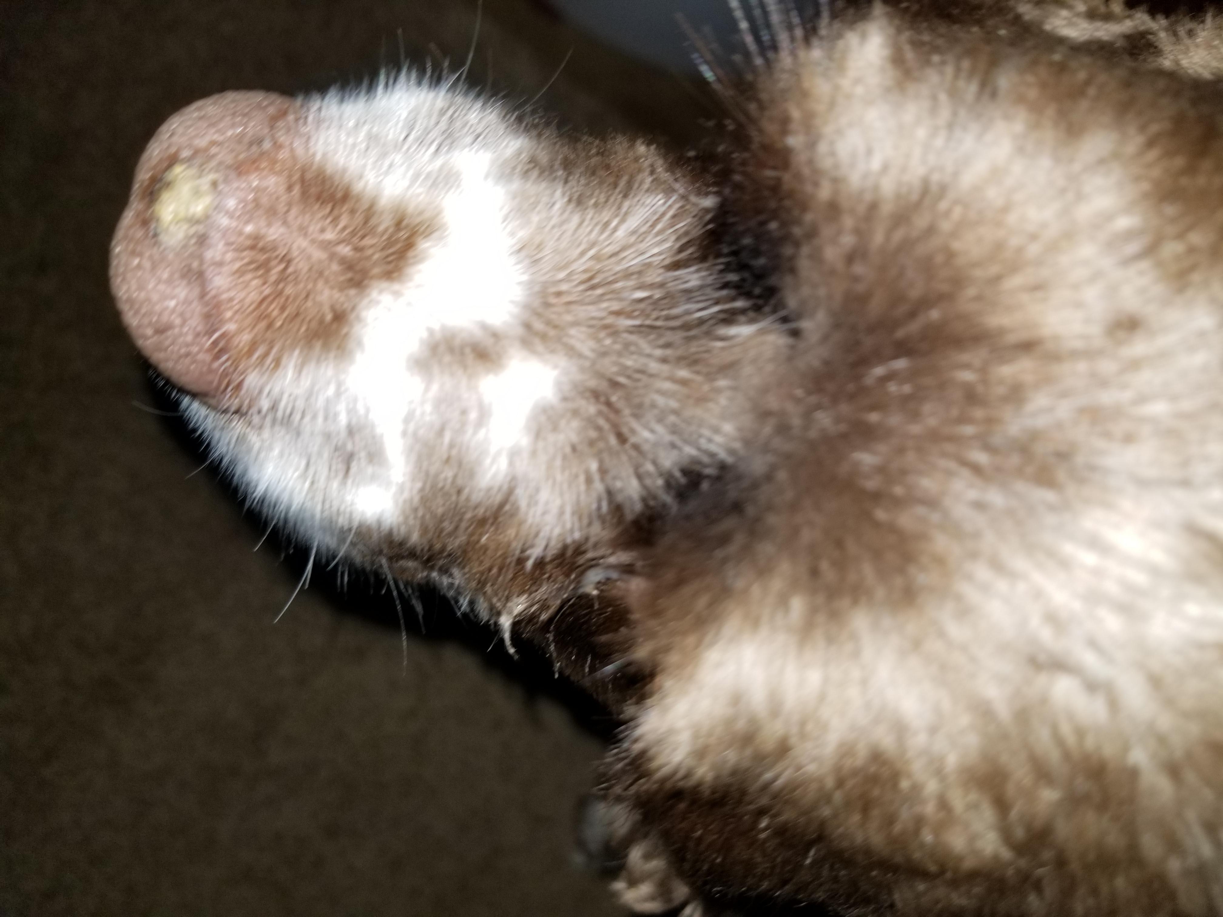 Question details sensitive content