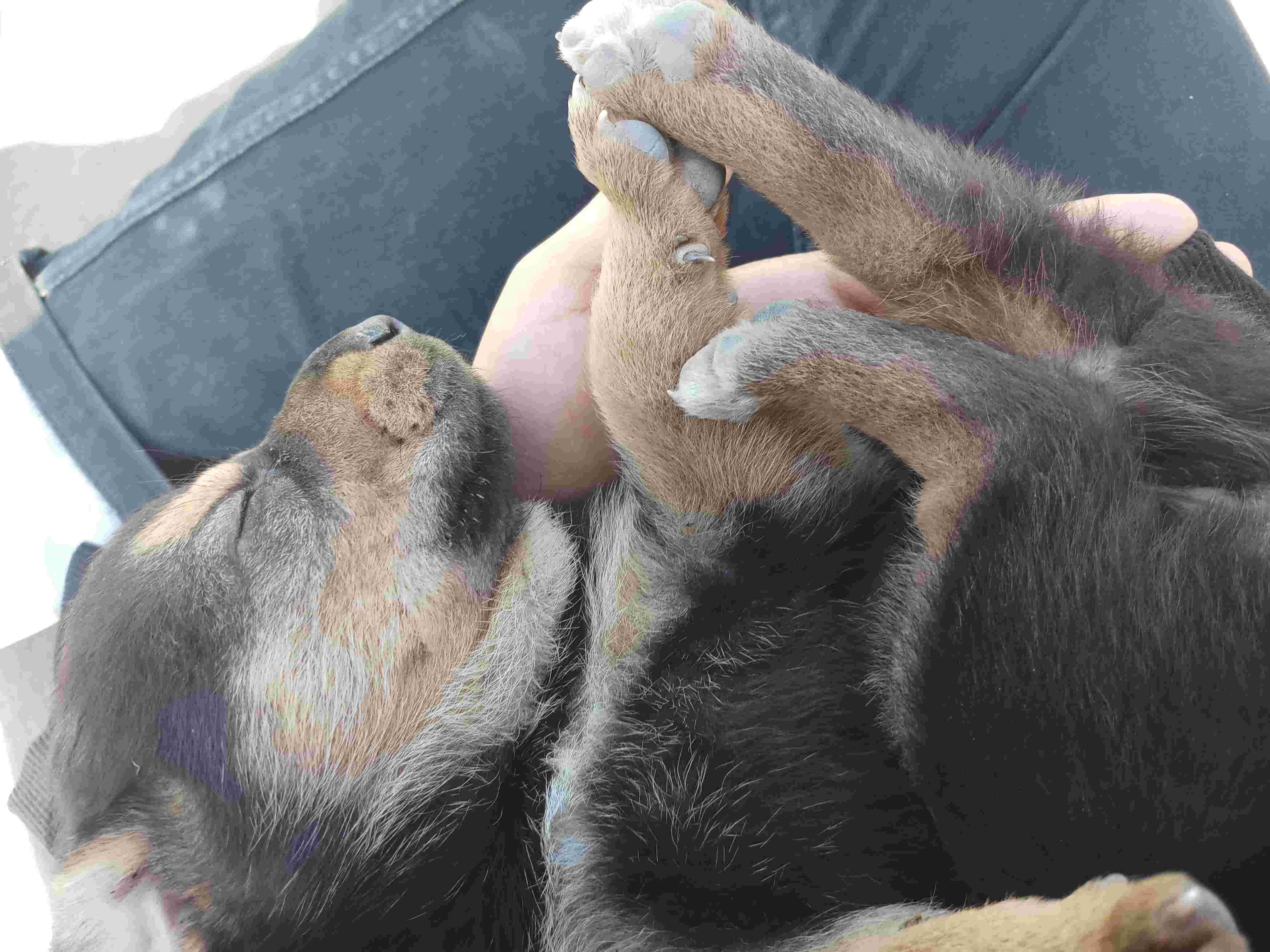 Question details sensitive content