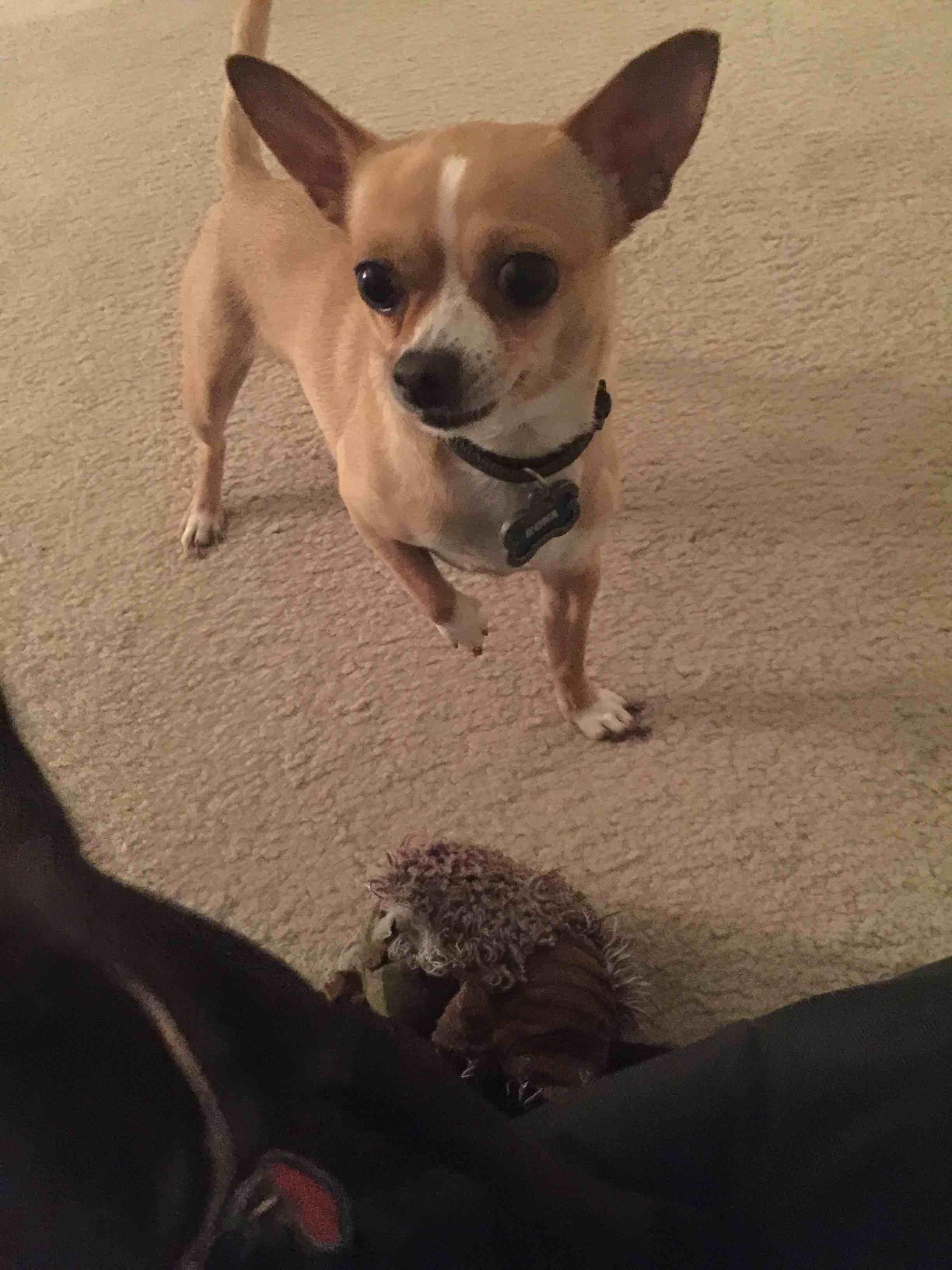 Question details sensitive content