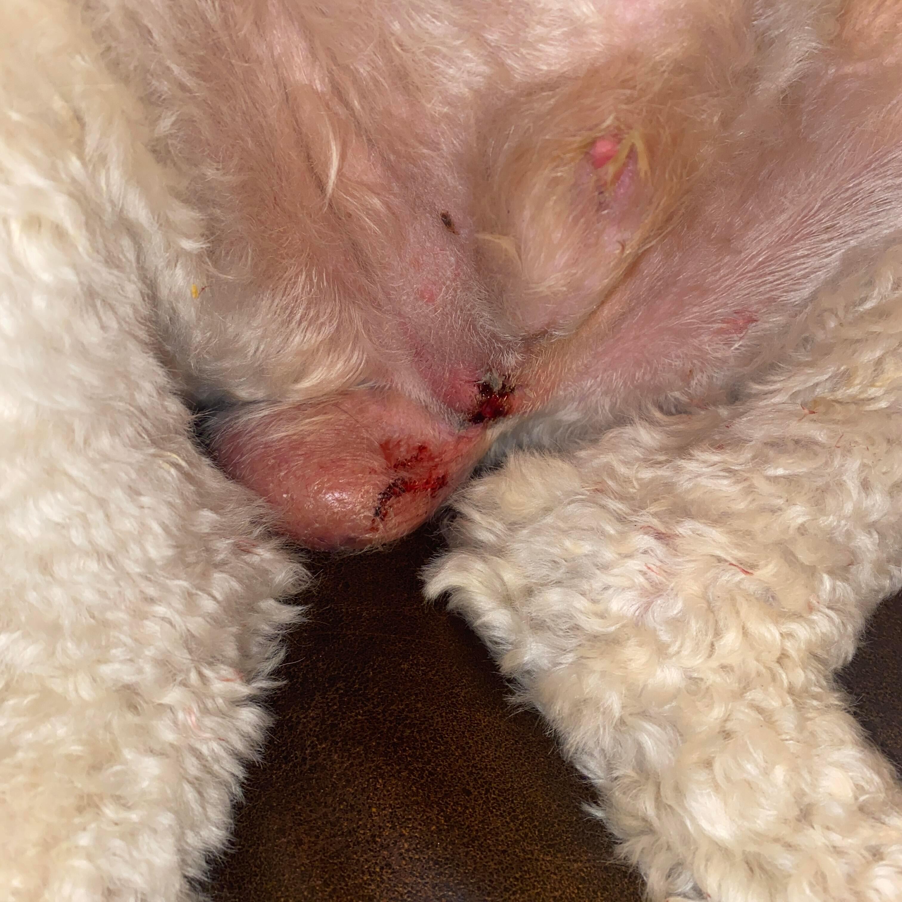 Question details sensitive content