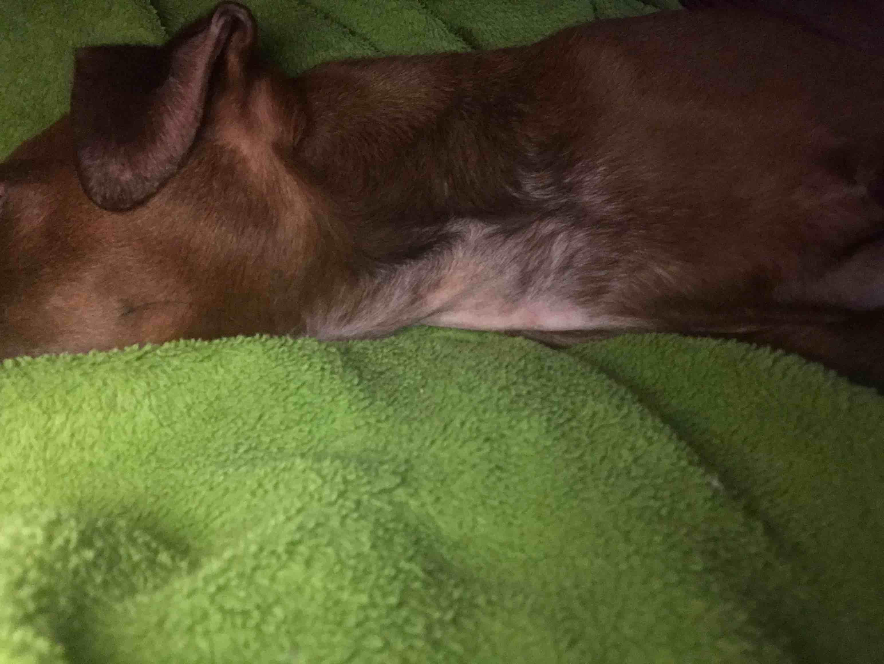 Question details sensitive content