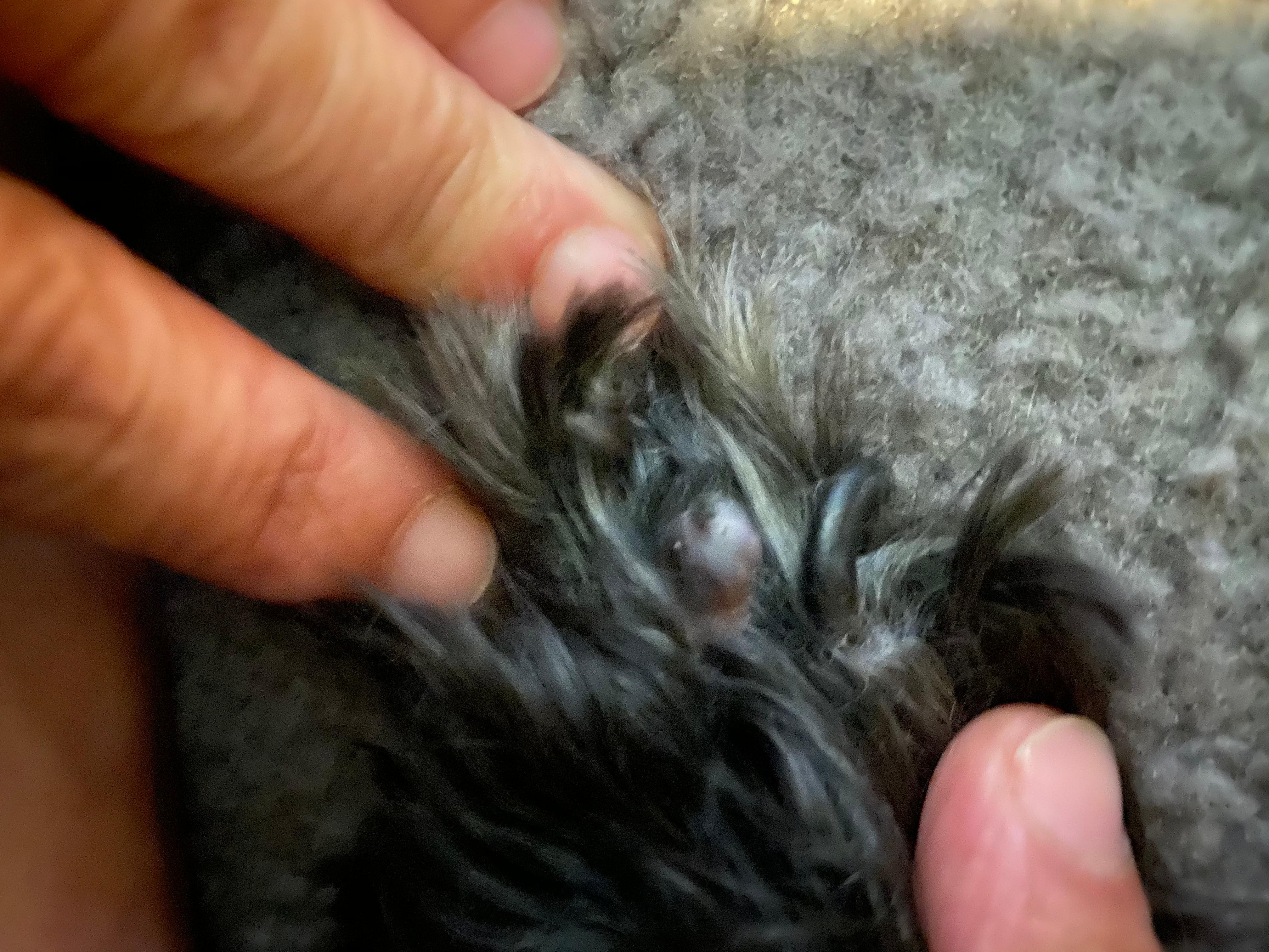 Question details sensitive content