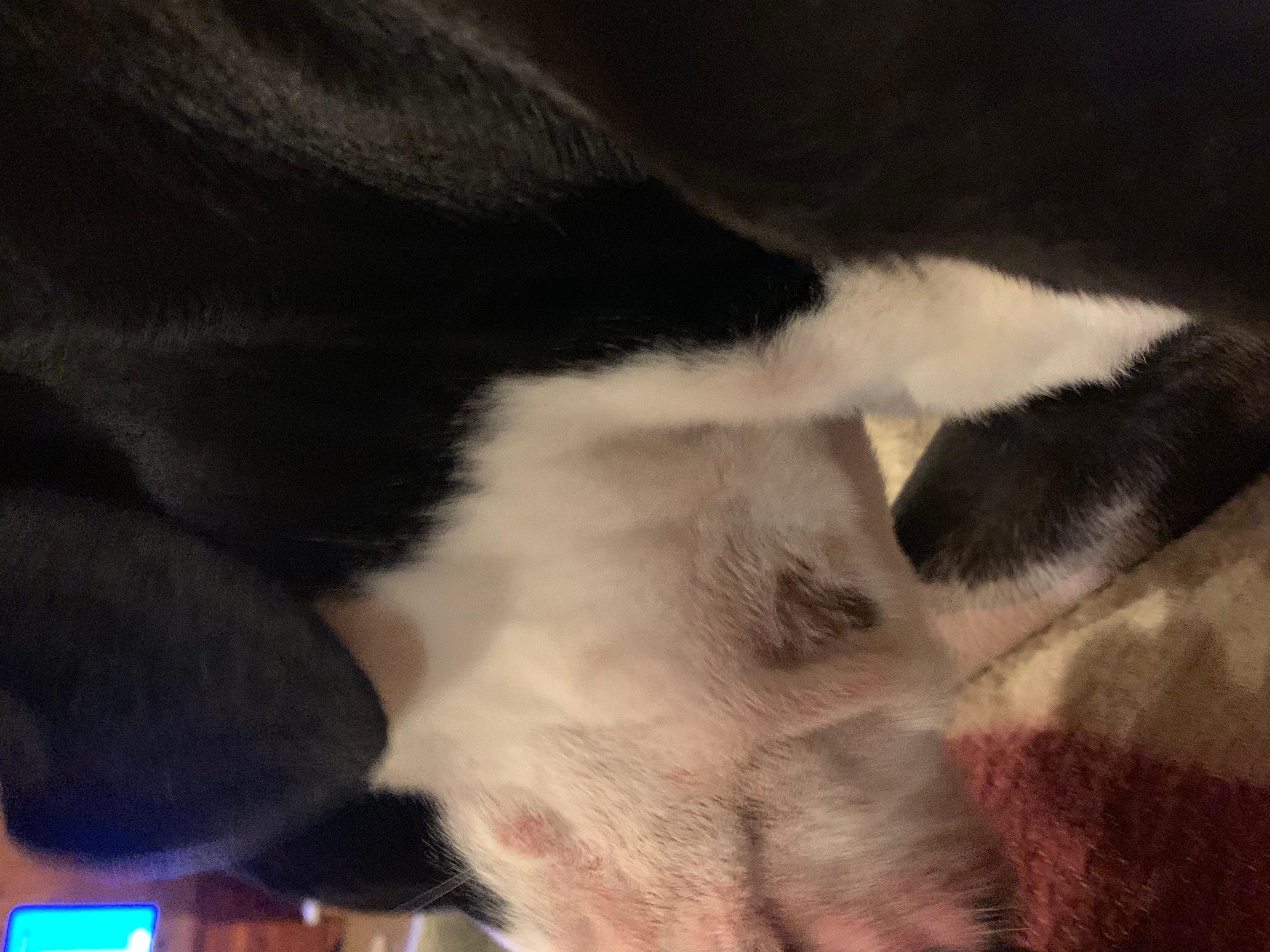 Question details sensitive content