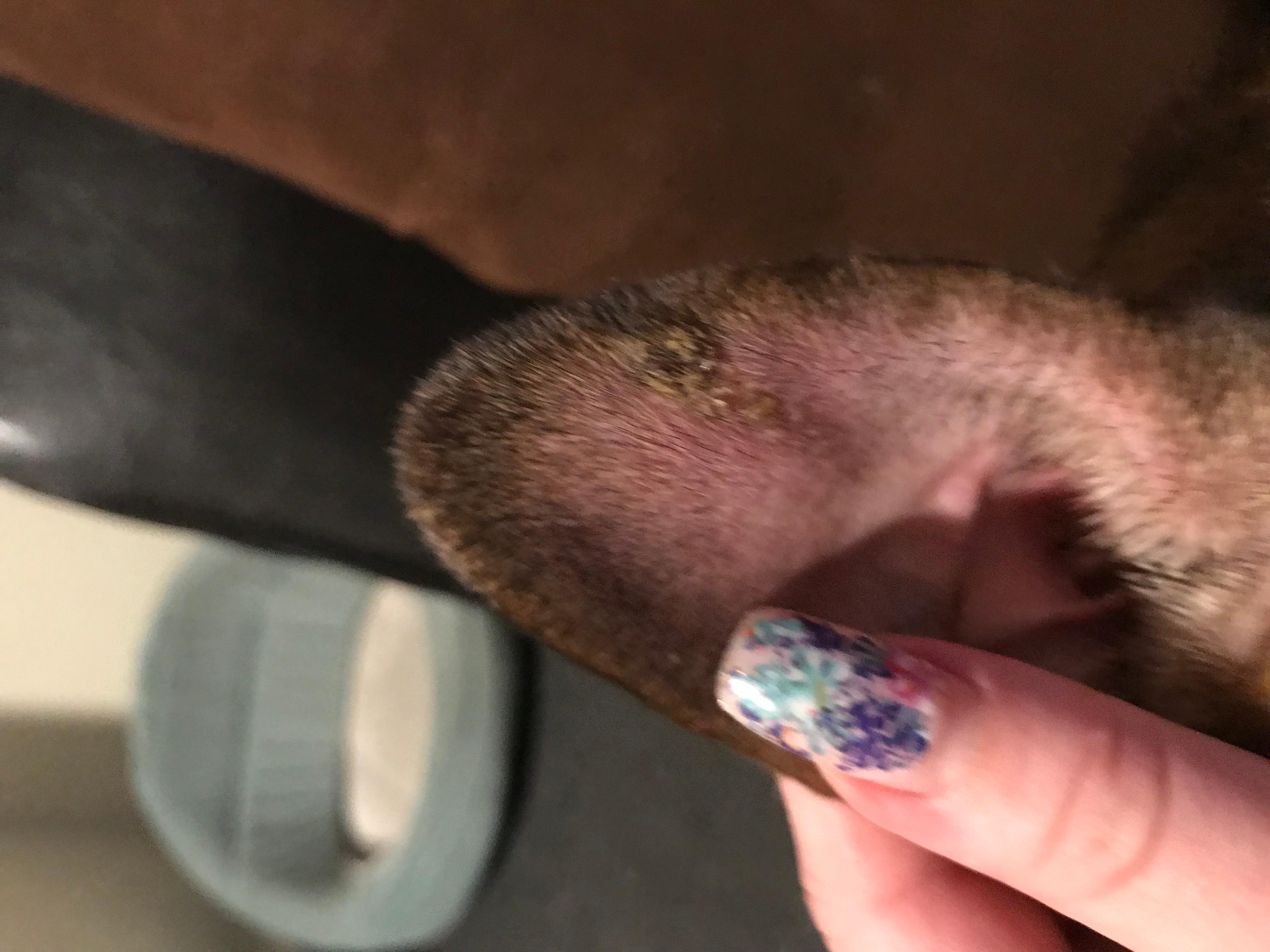 Question details sensitive content