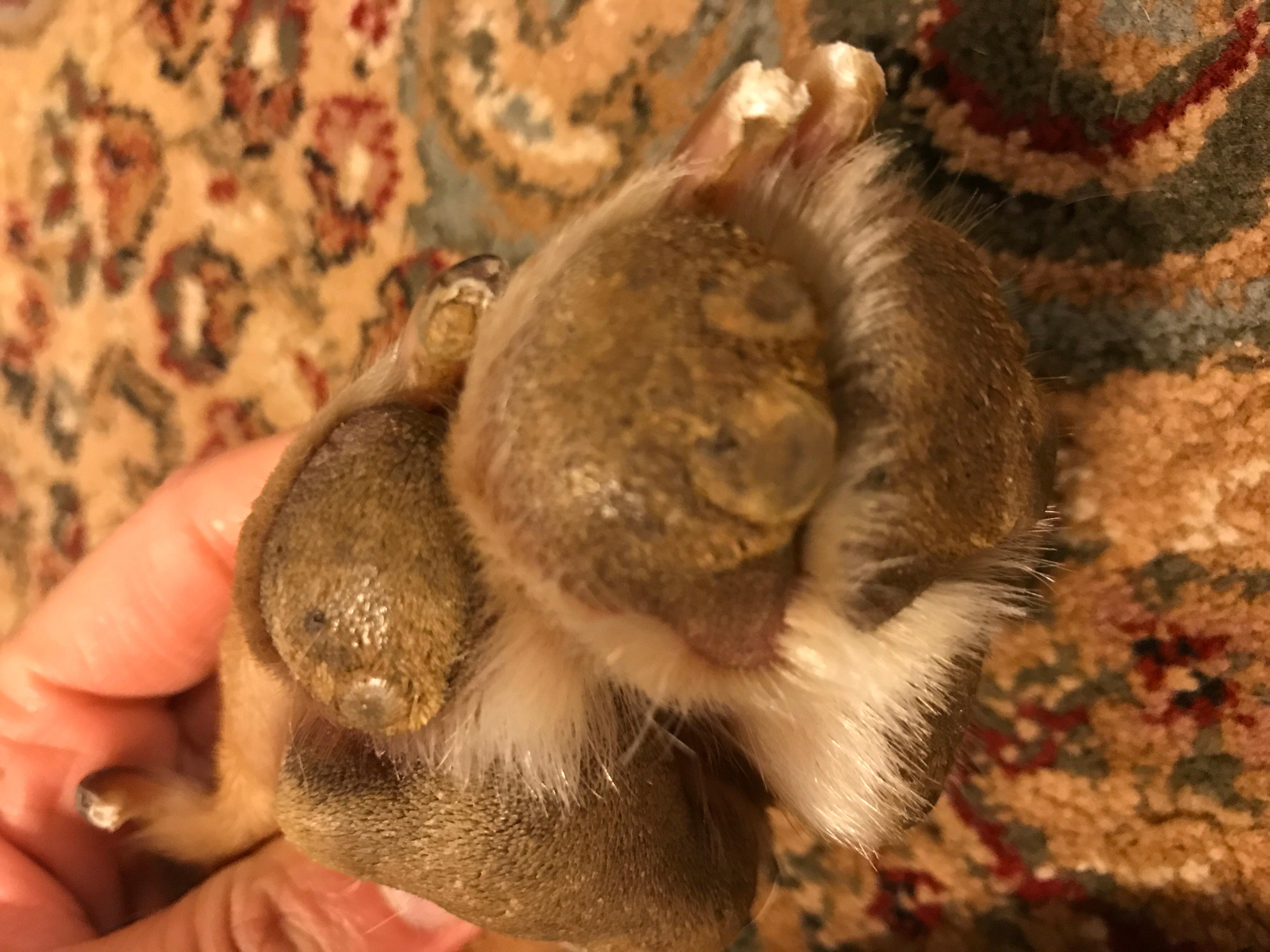 Question details sensitive content