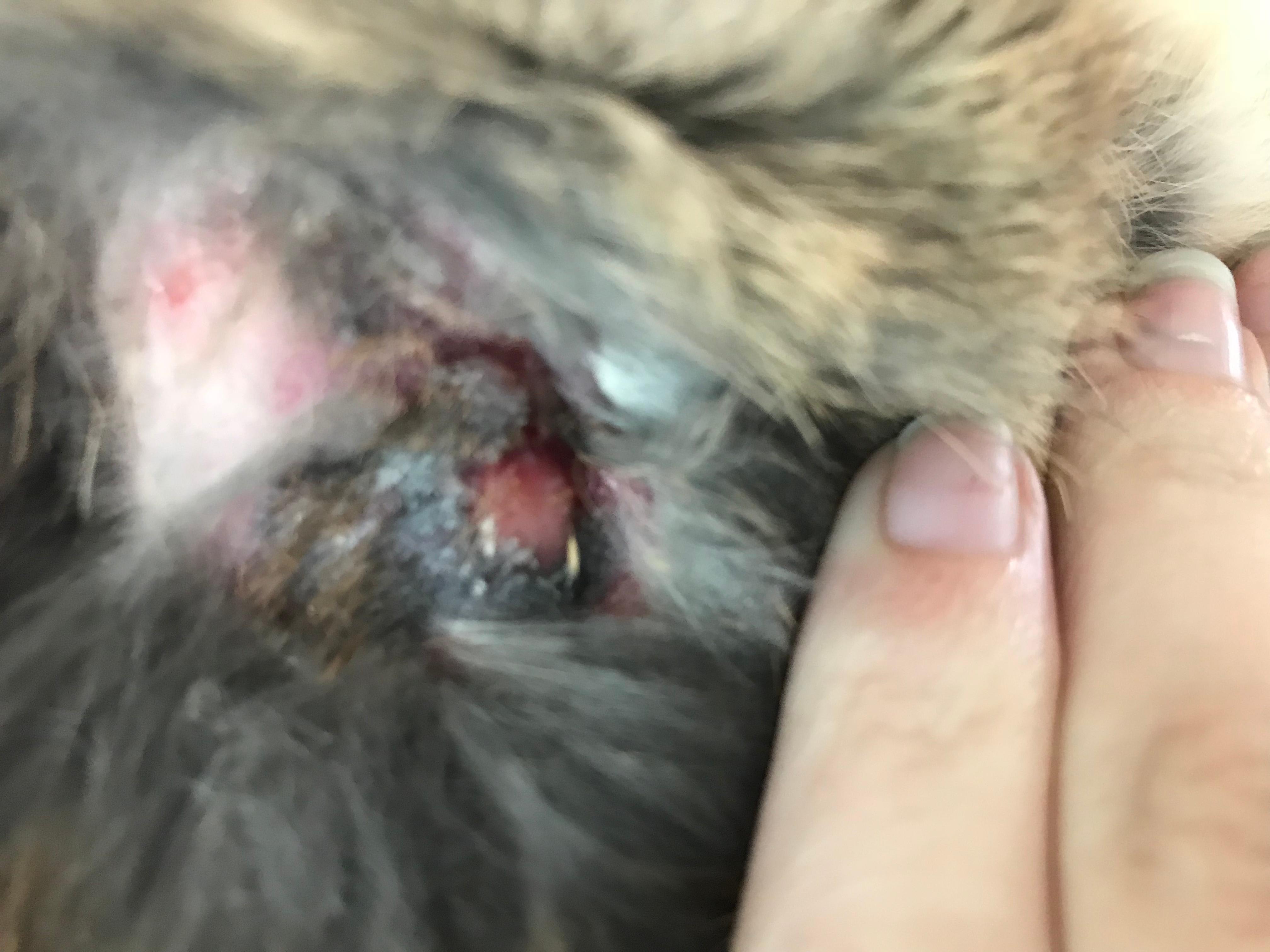 Question details sensitive content