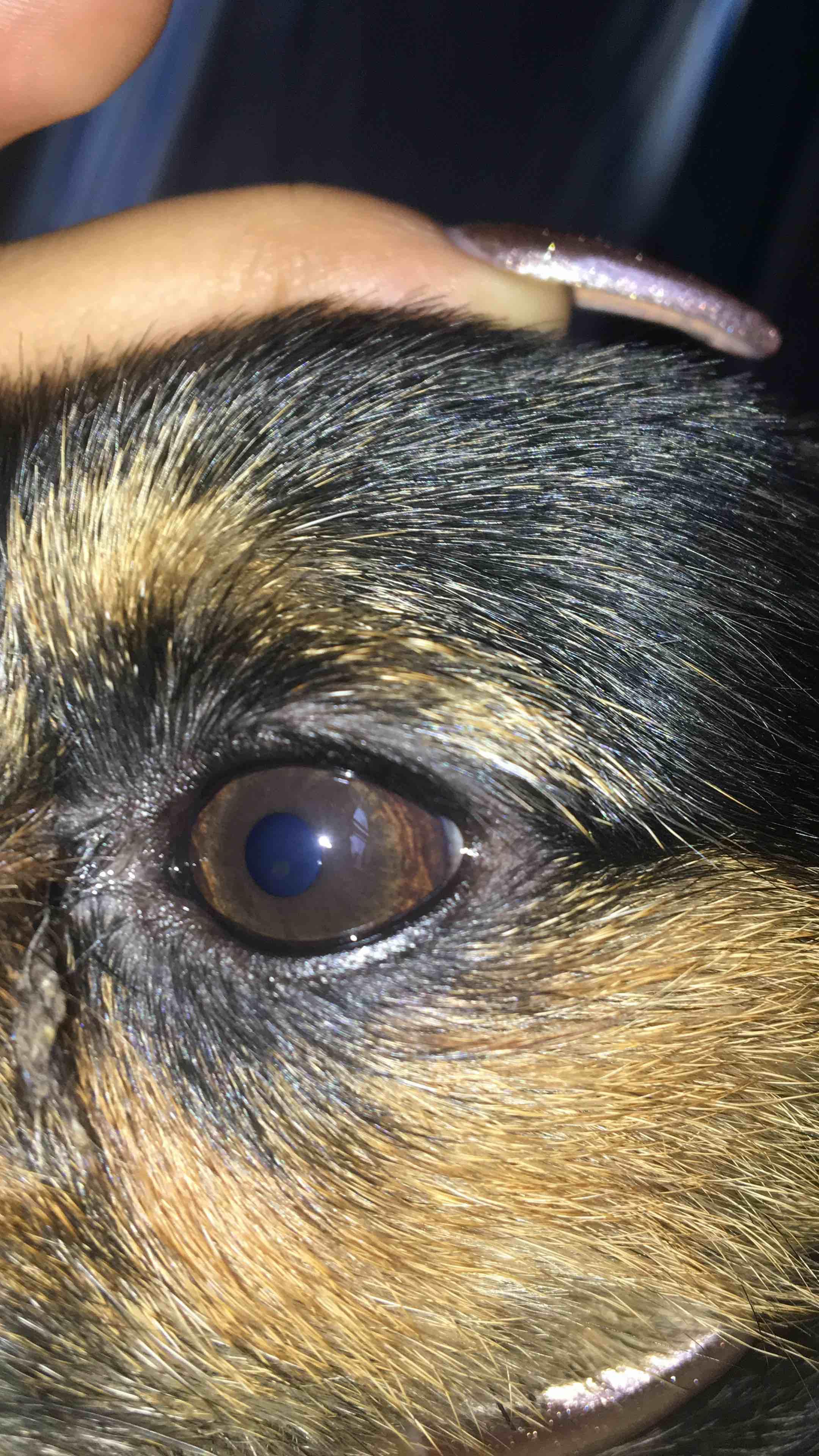 Question details sensitive content