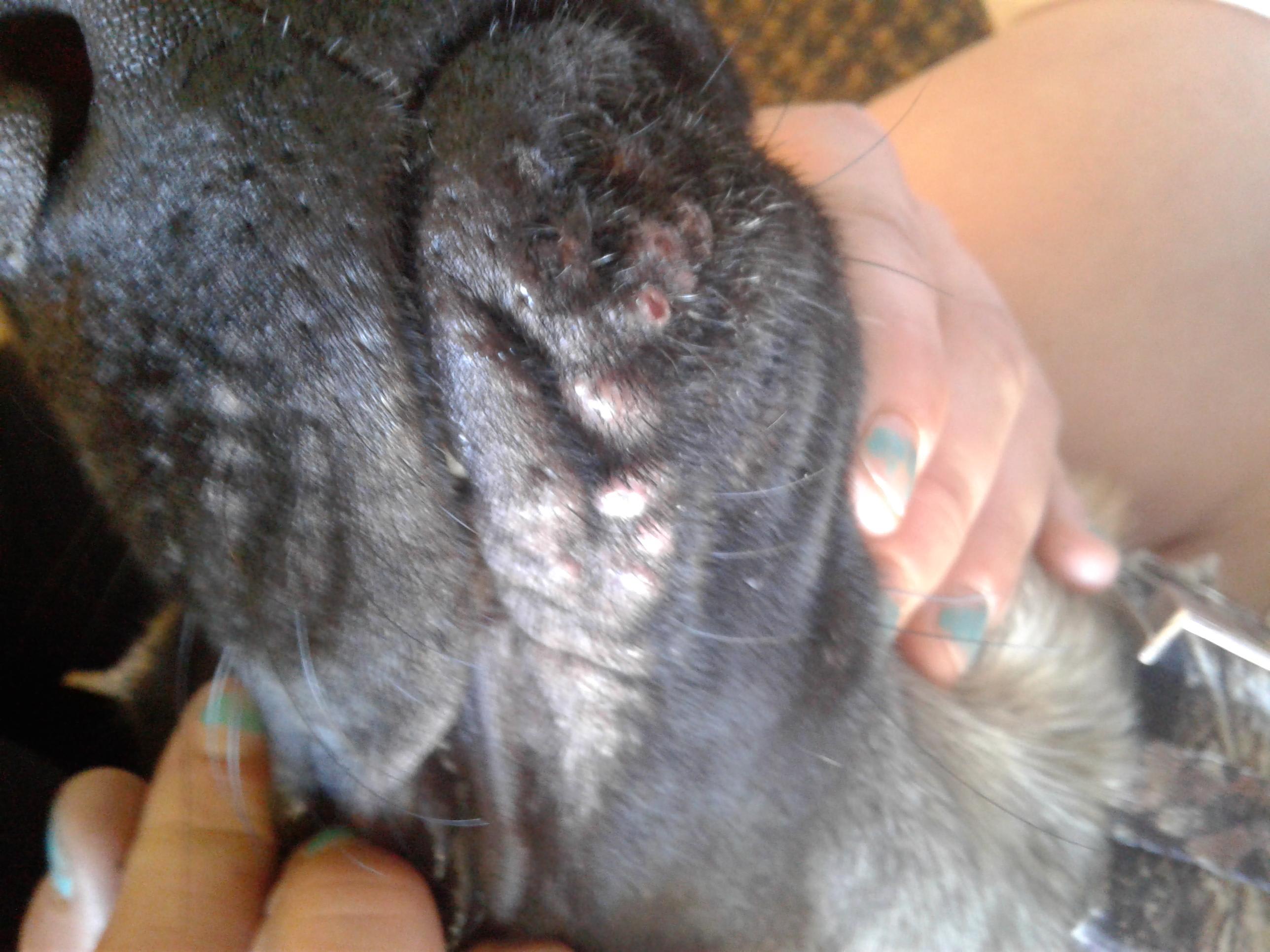 Question details sensitive content