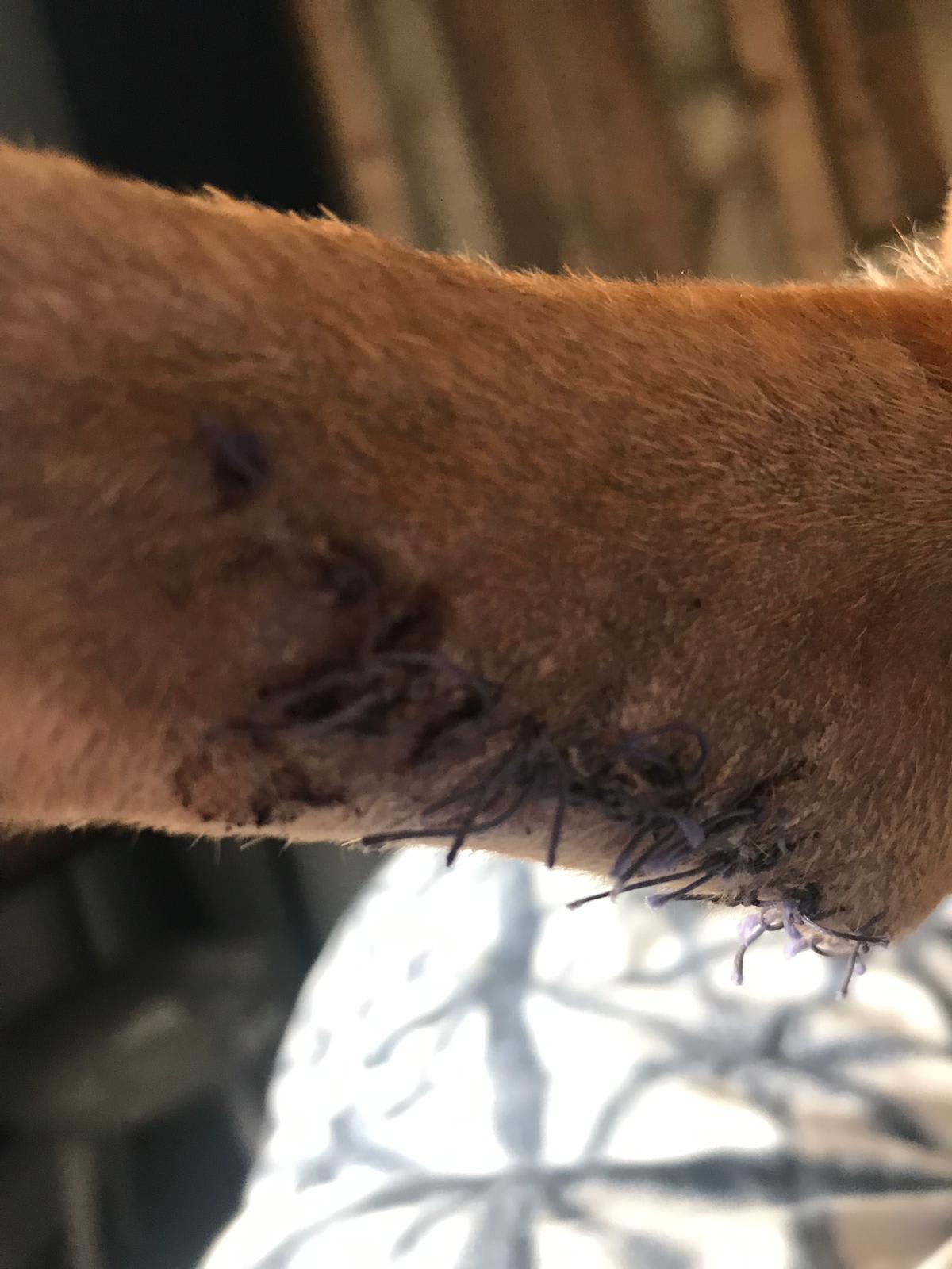 Question details sensitive content