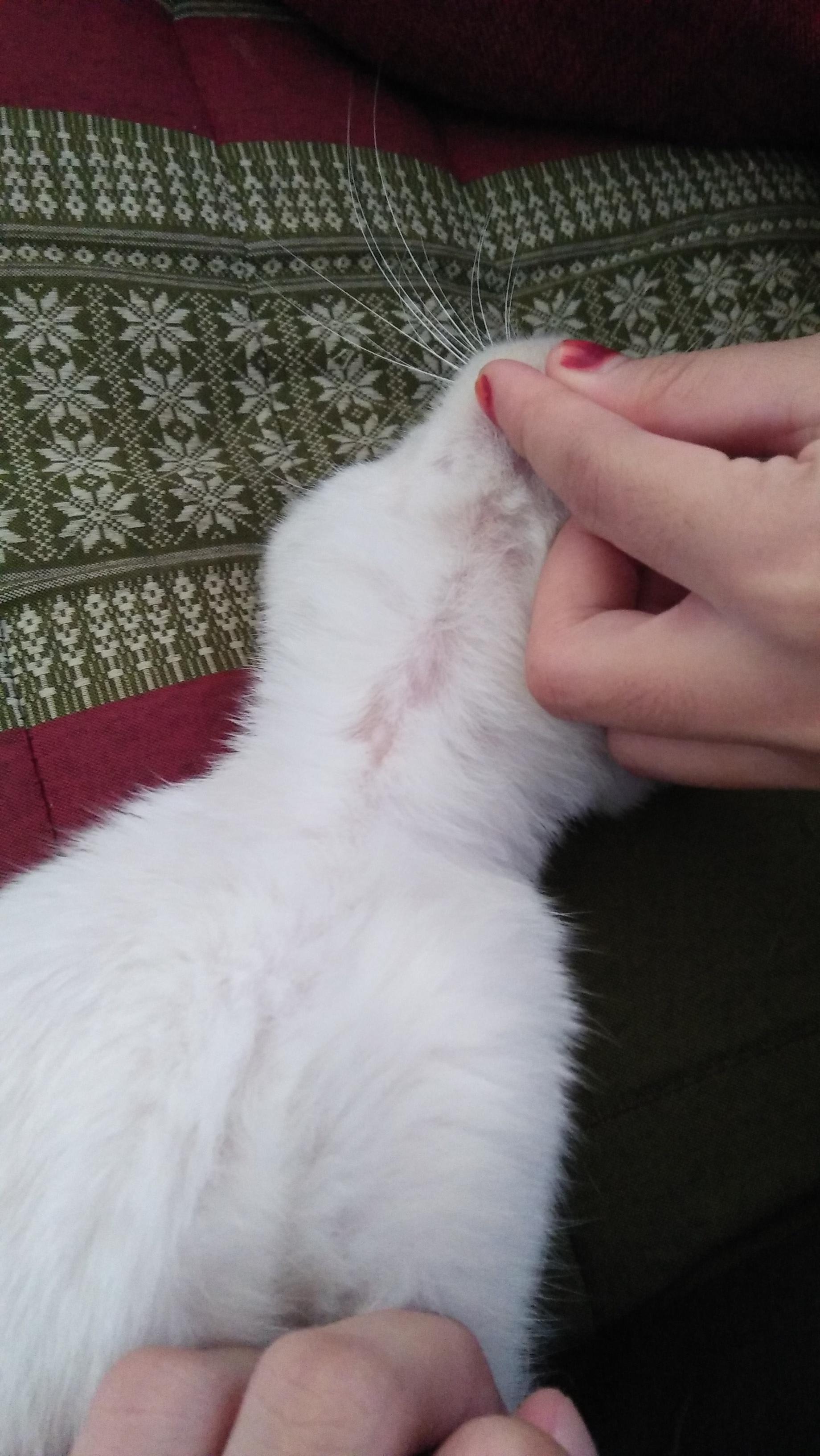 Question details sensitive content