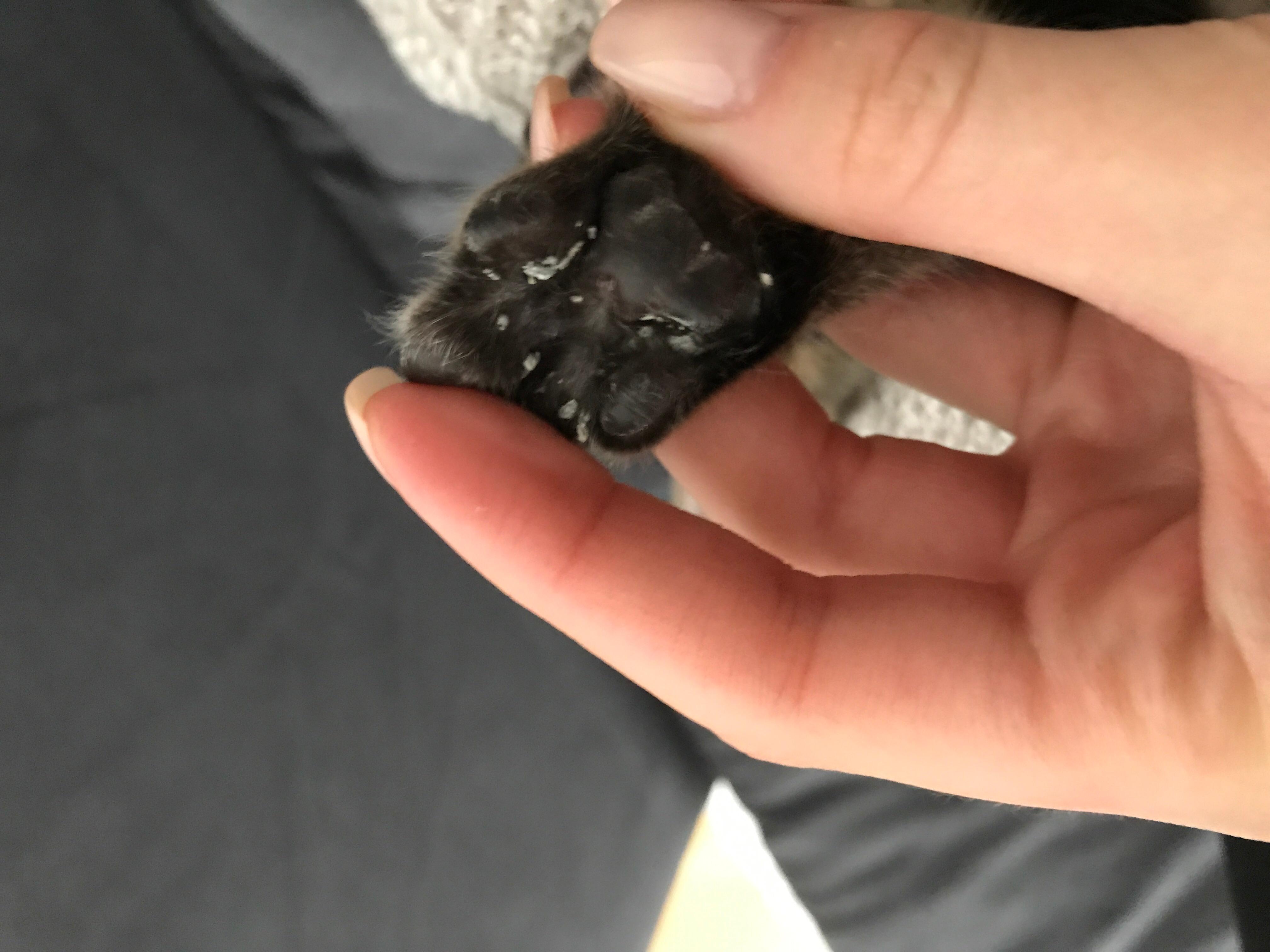 Question details sensitive content