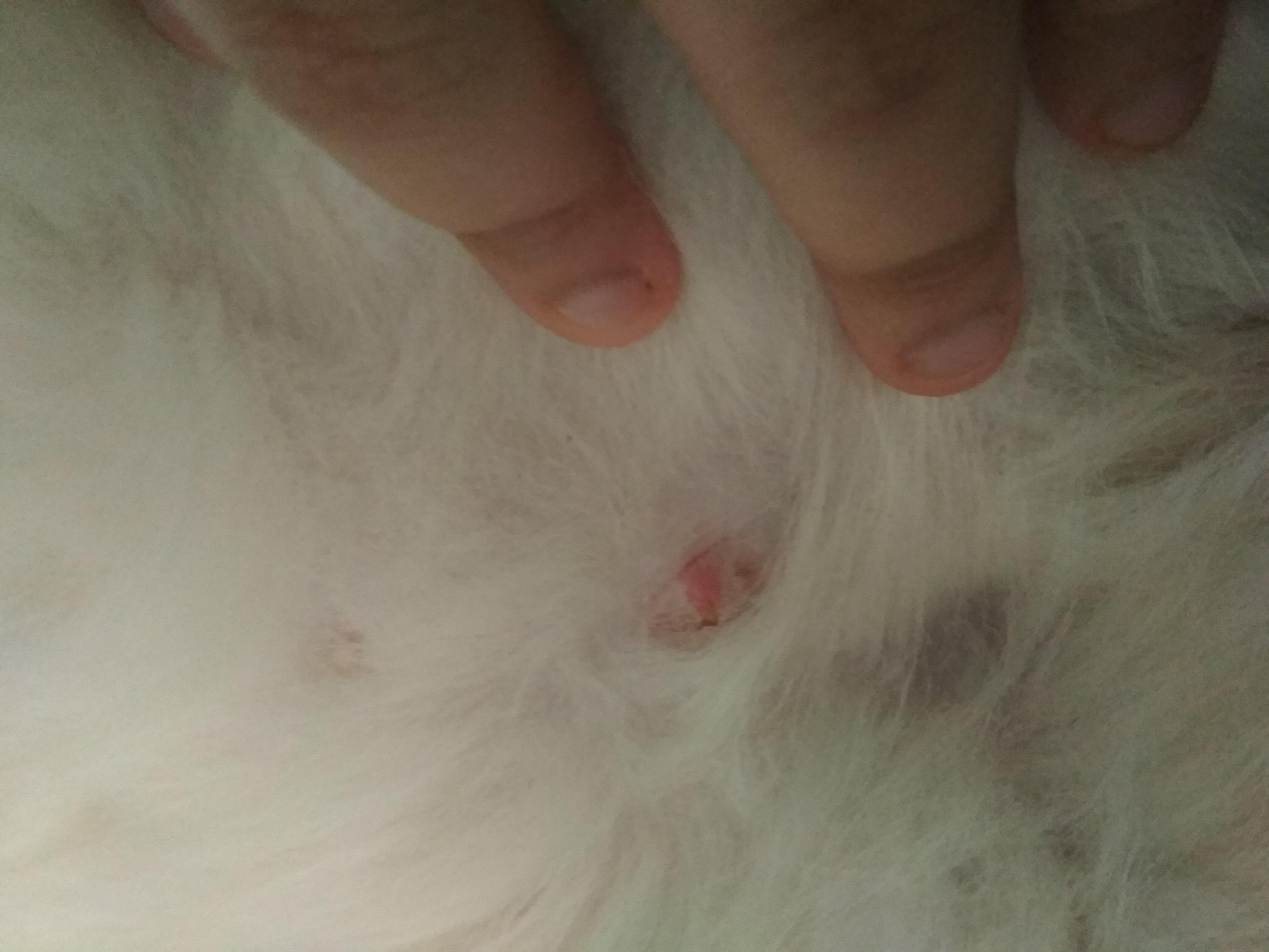 Question details sensitive content