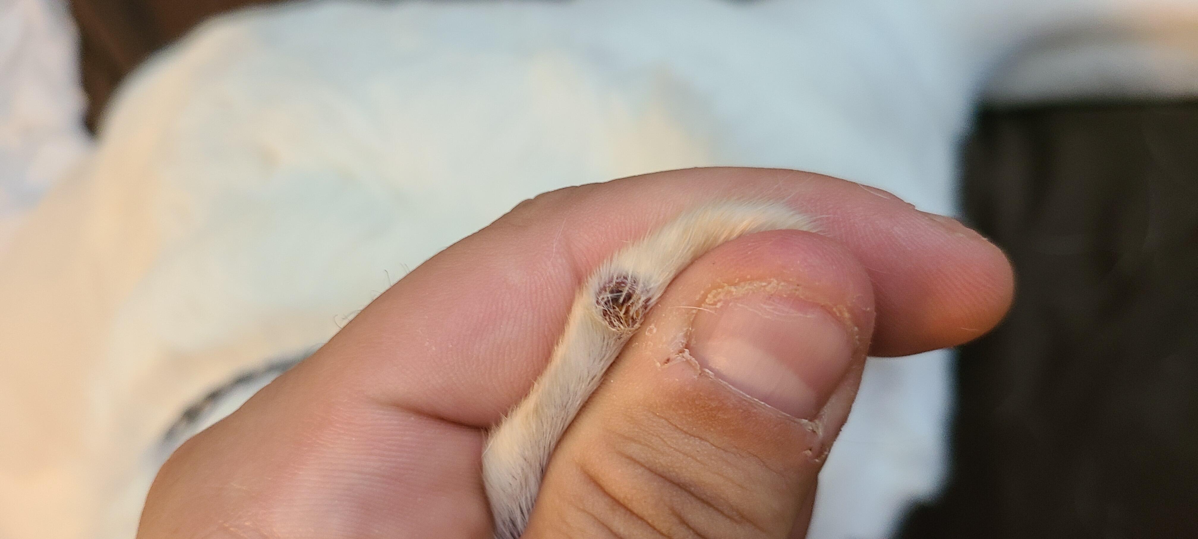 Question details sensitive content