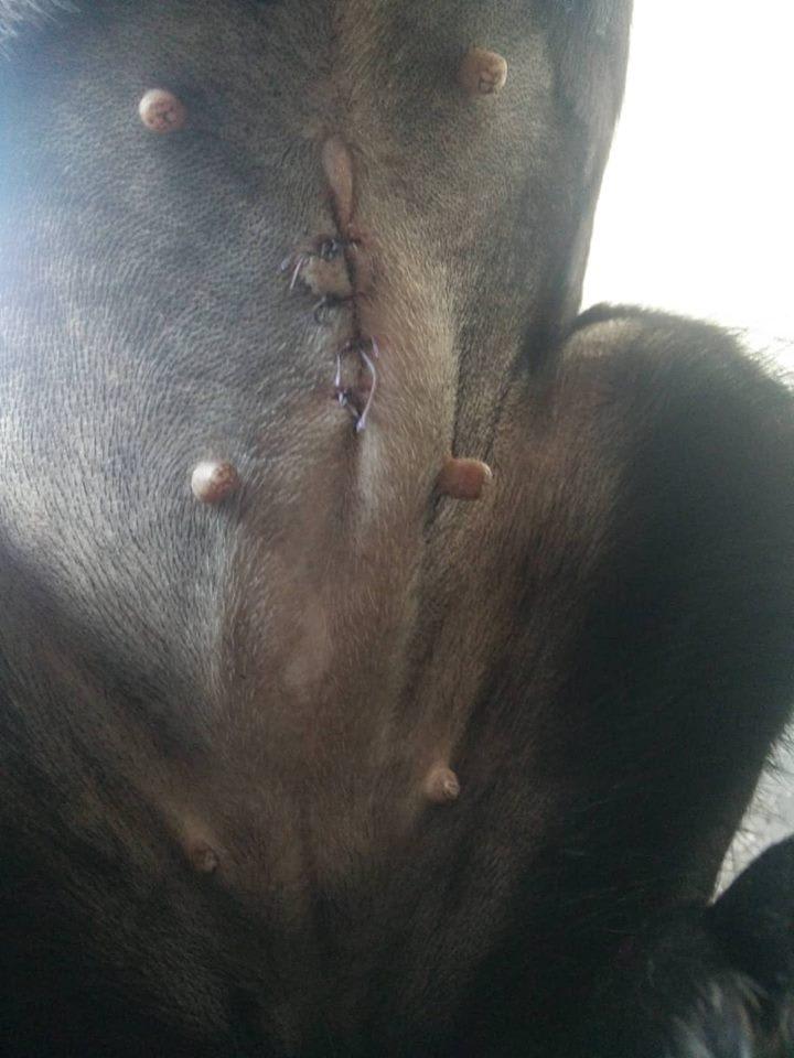 Question details sensitive content