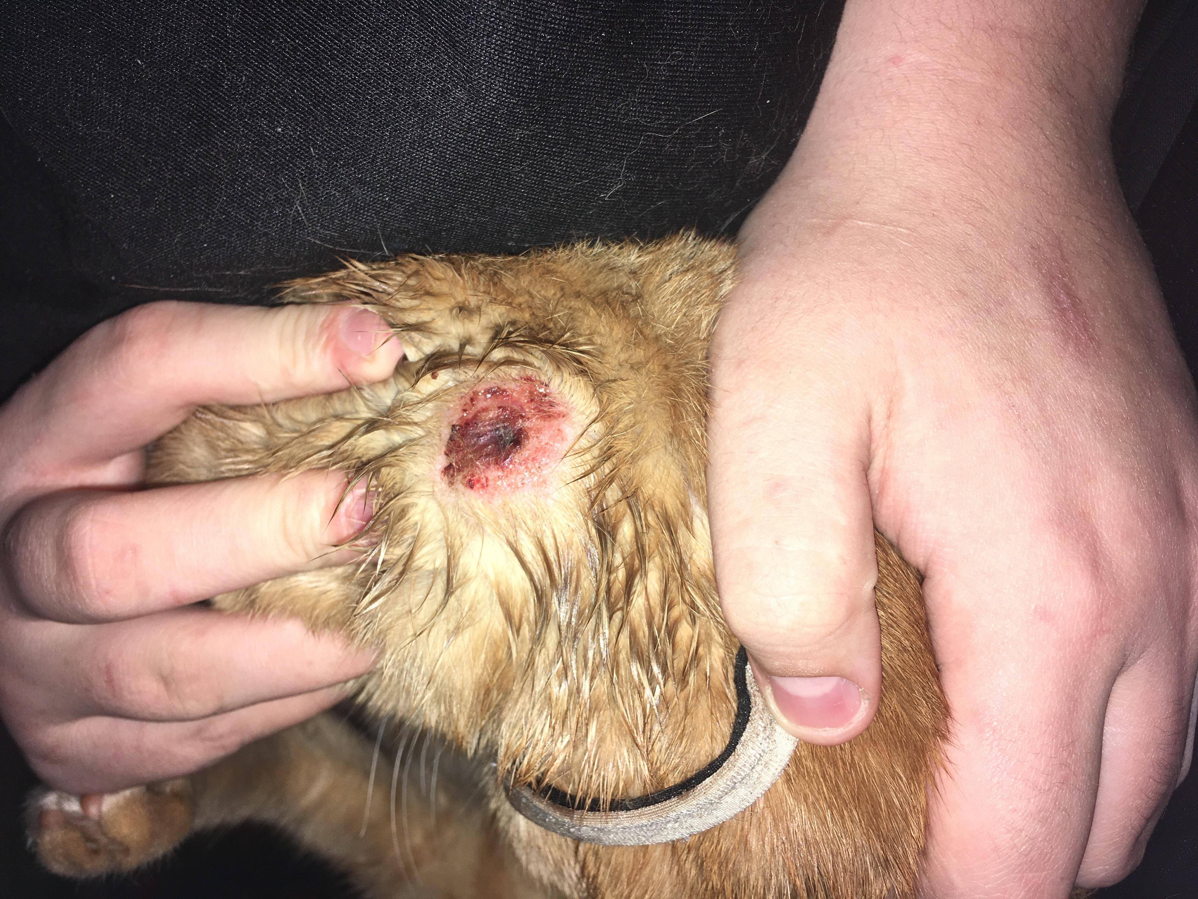 Question details sensitive content