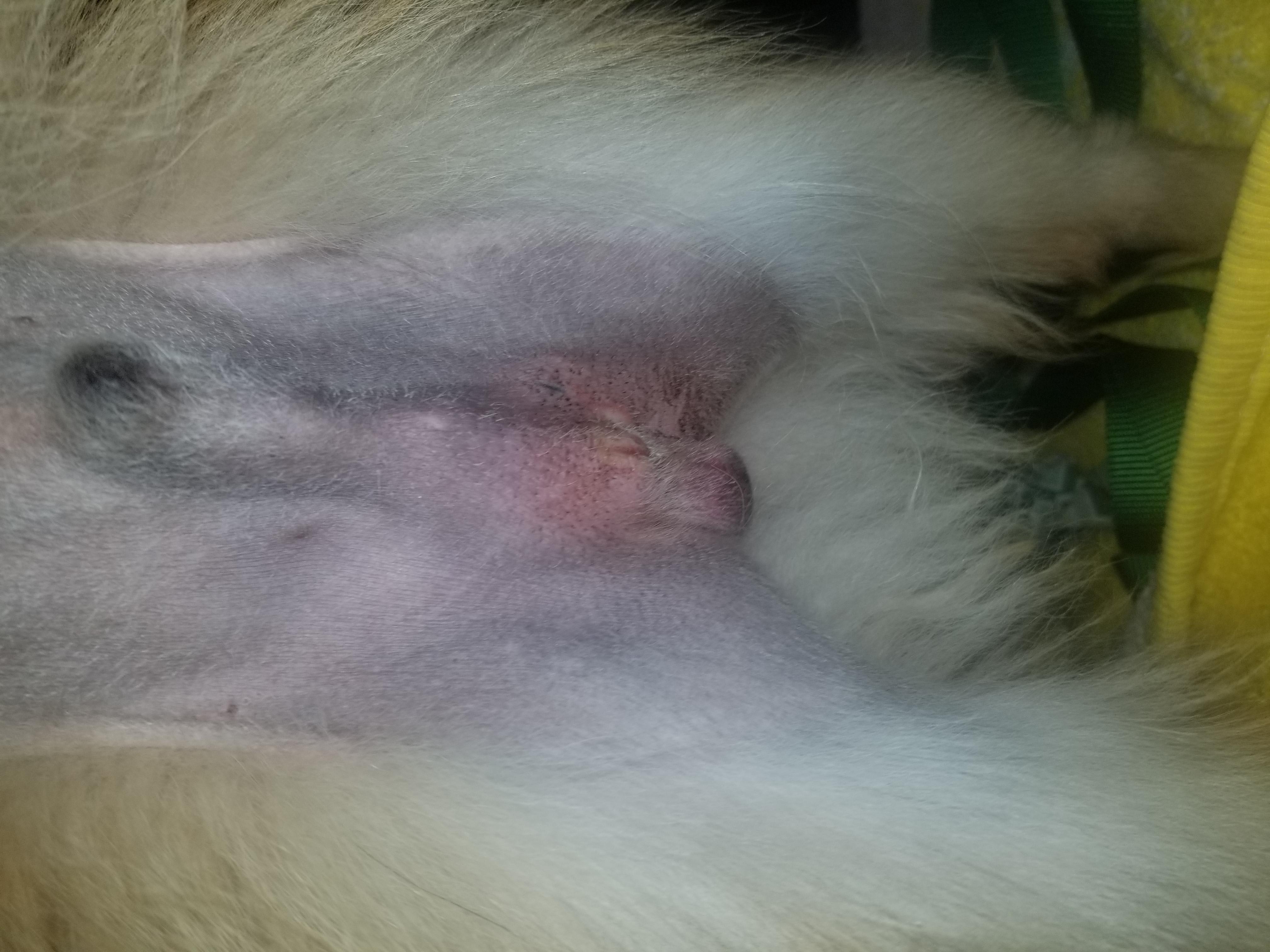 Question details sensitive content