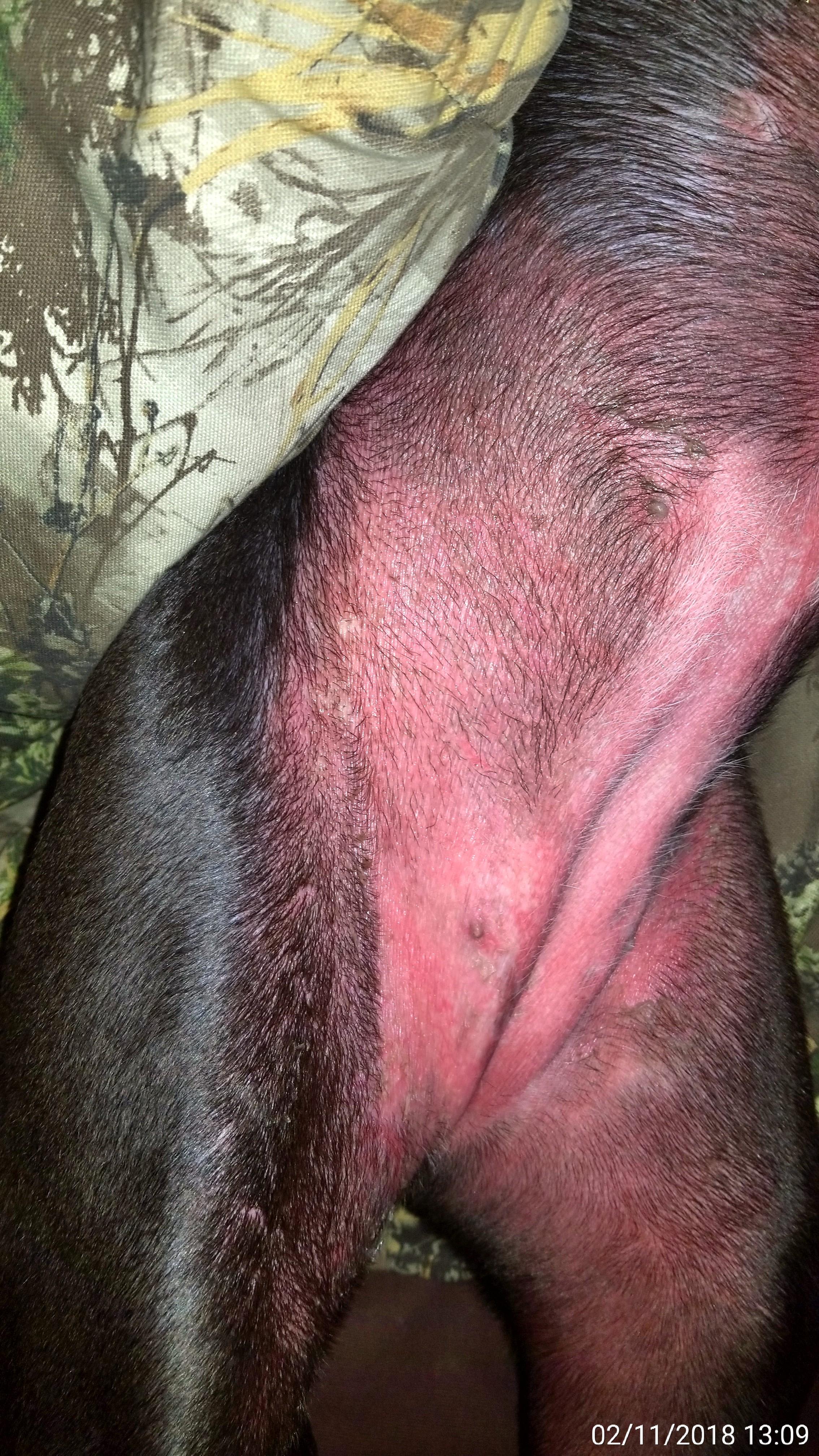 Question details sensitive content