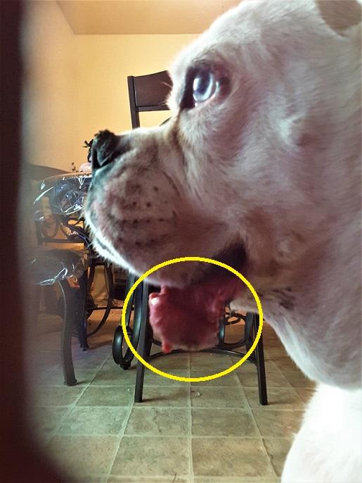 Question details sensitive content