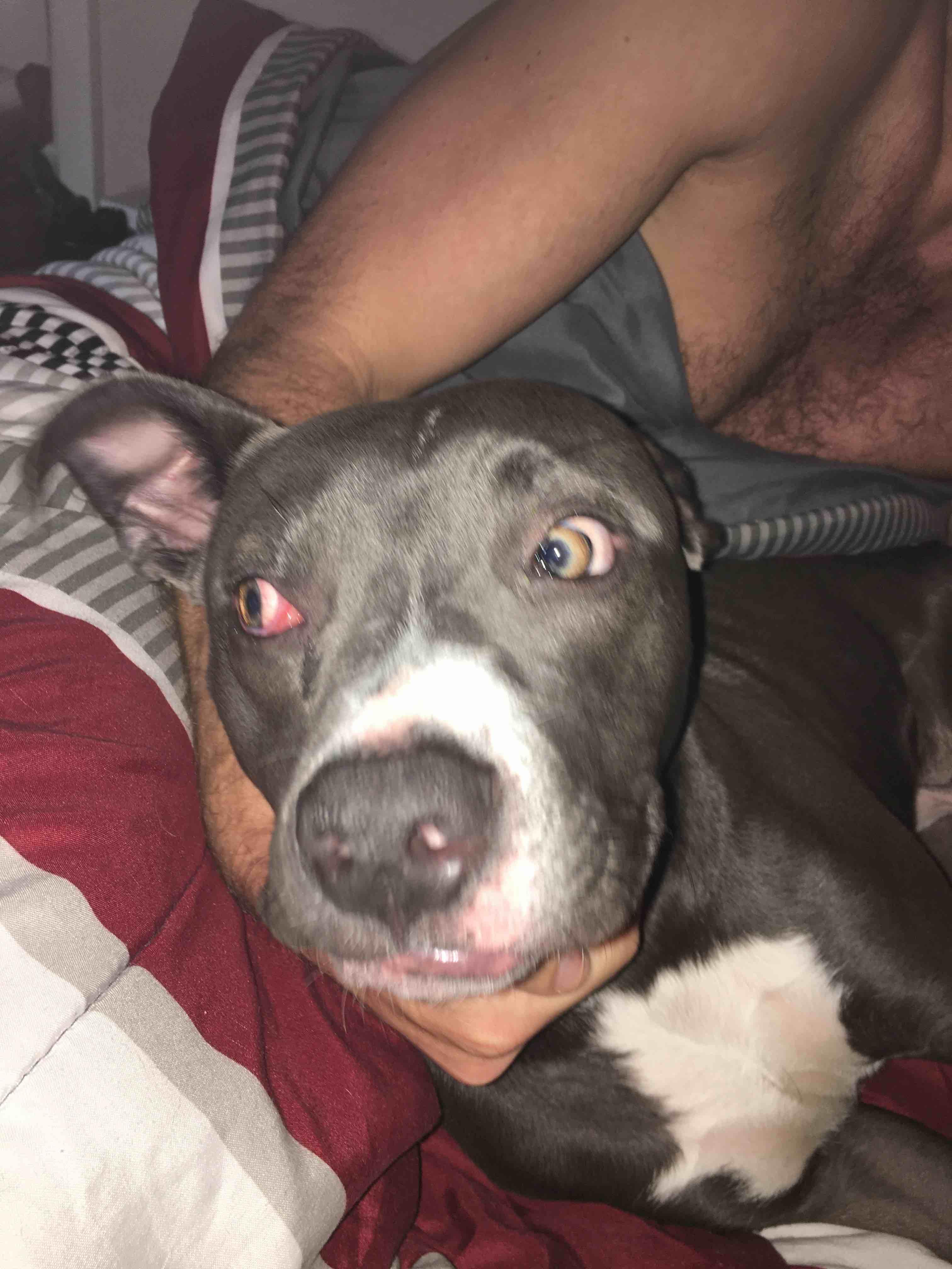 Question details sensitive content