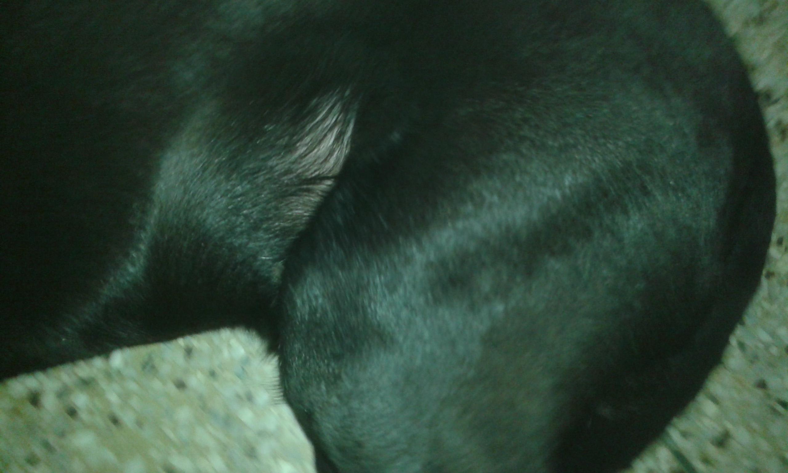 Question details sensitive content