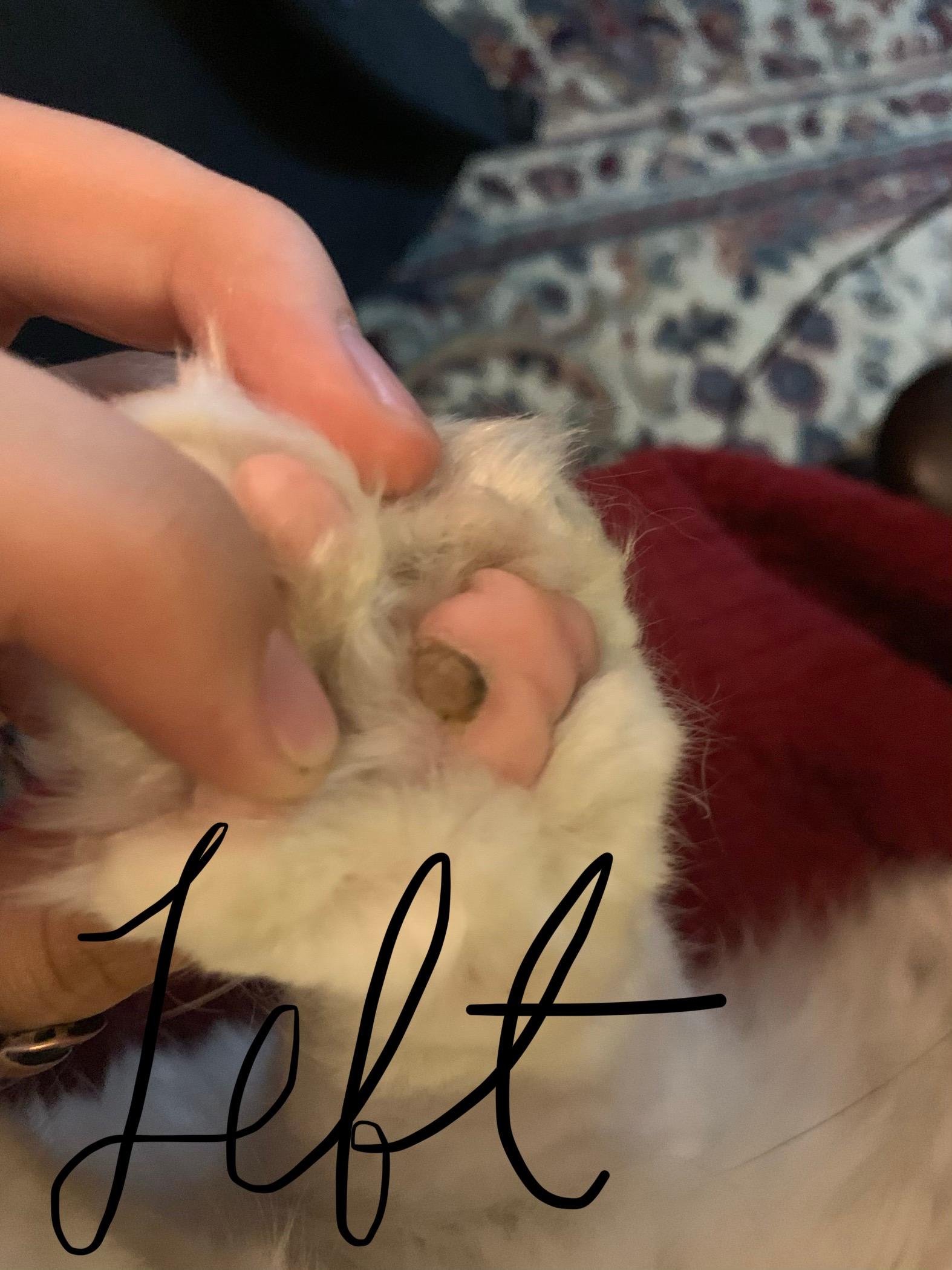 Question details sensitive content