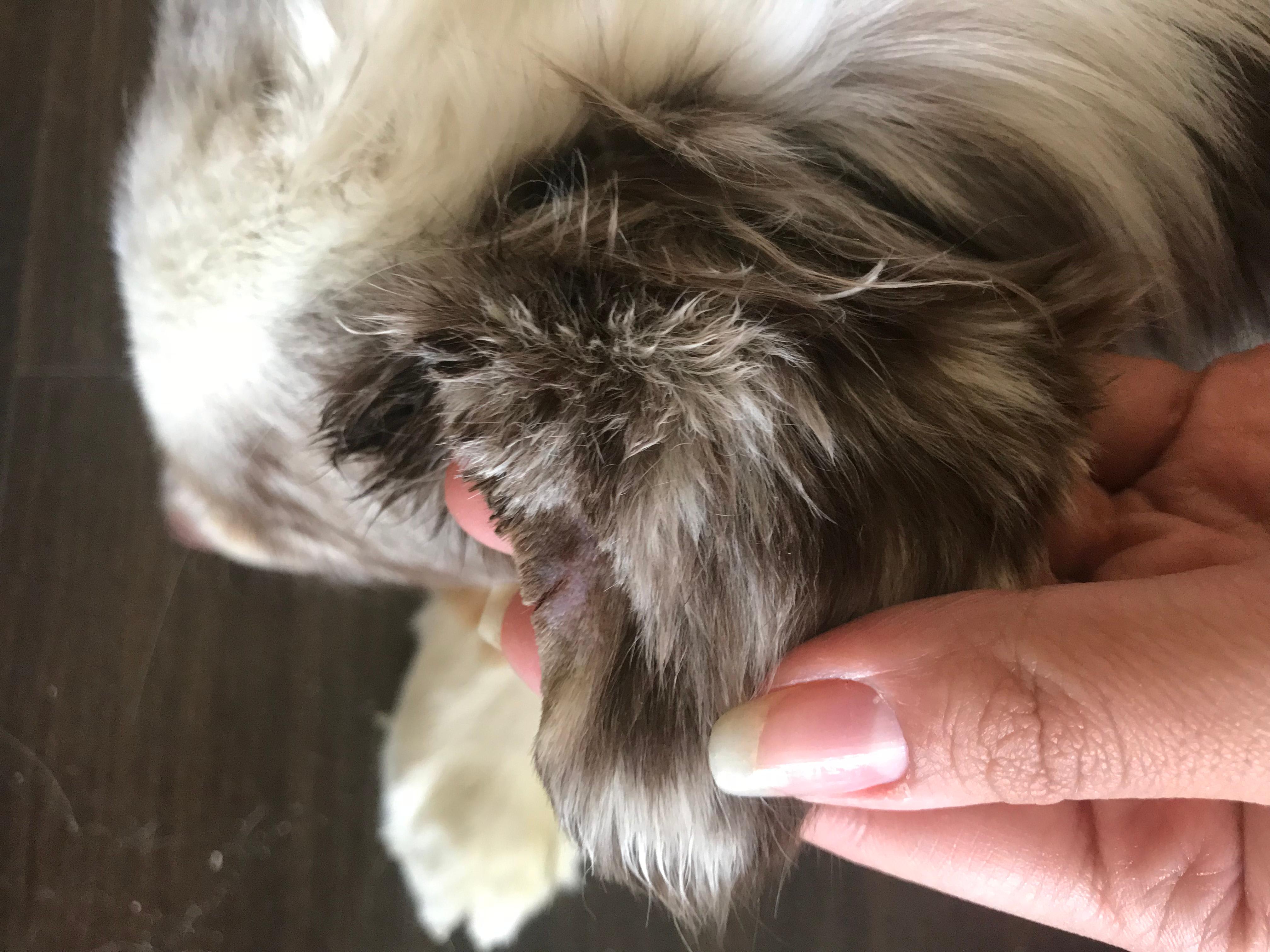 Question details sensitive content