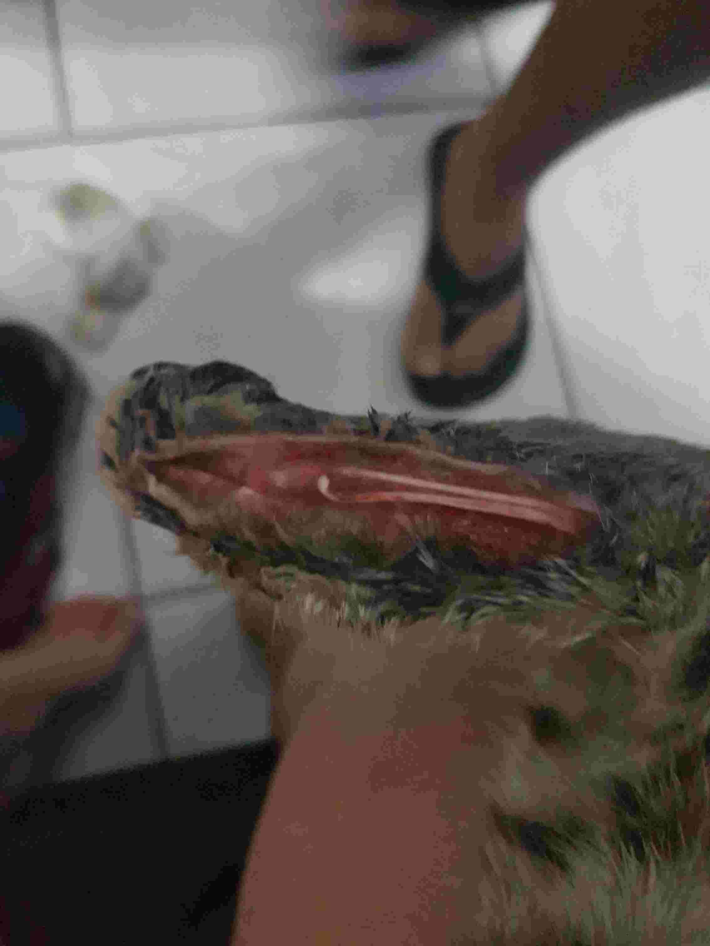 Question details sensitive content