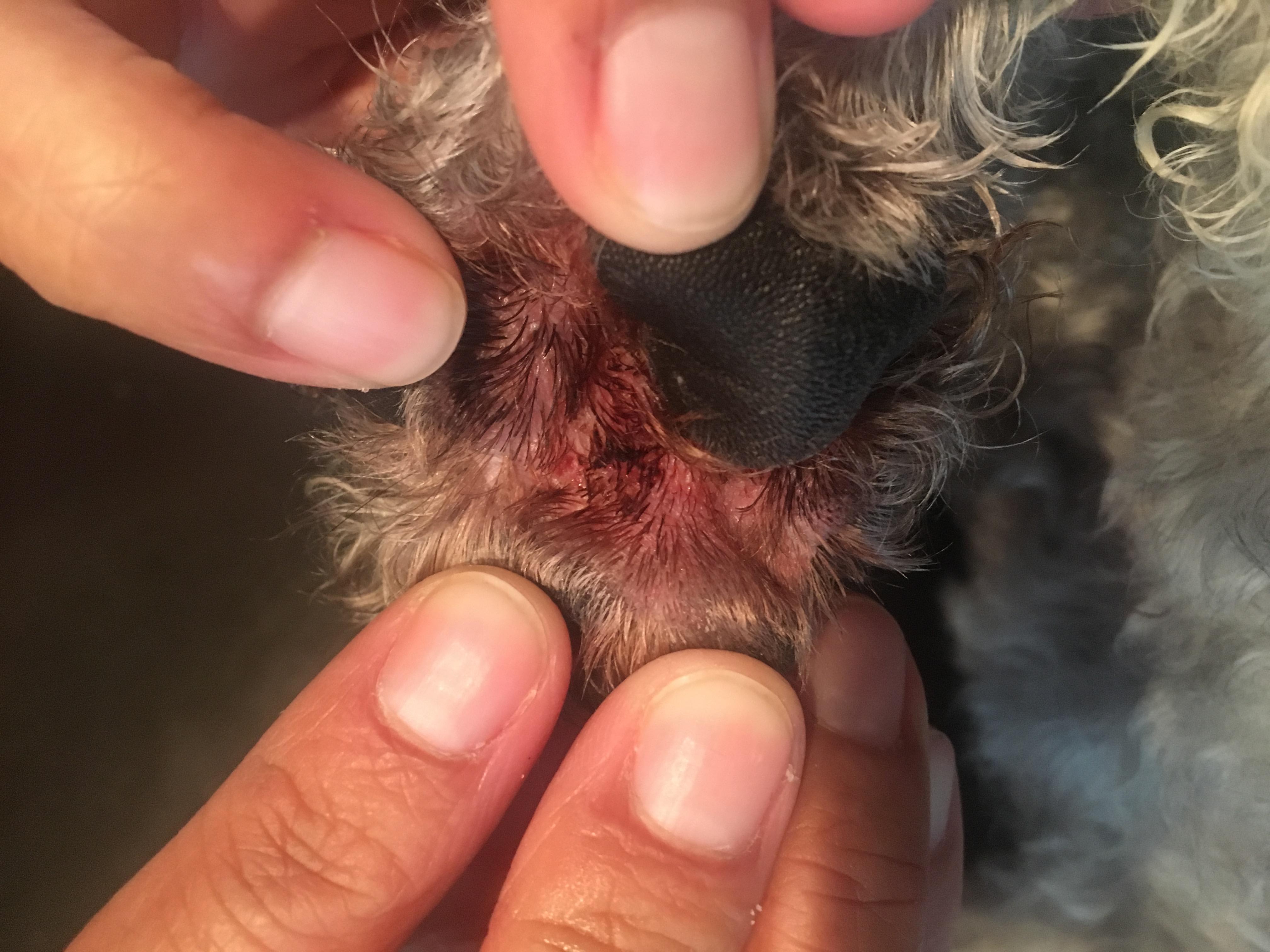 Question details sensitive content