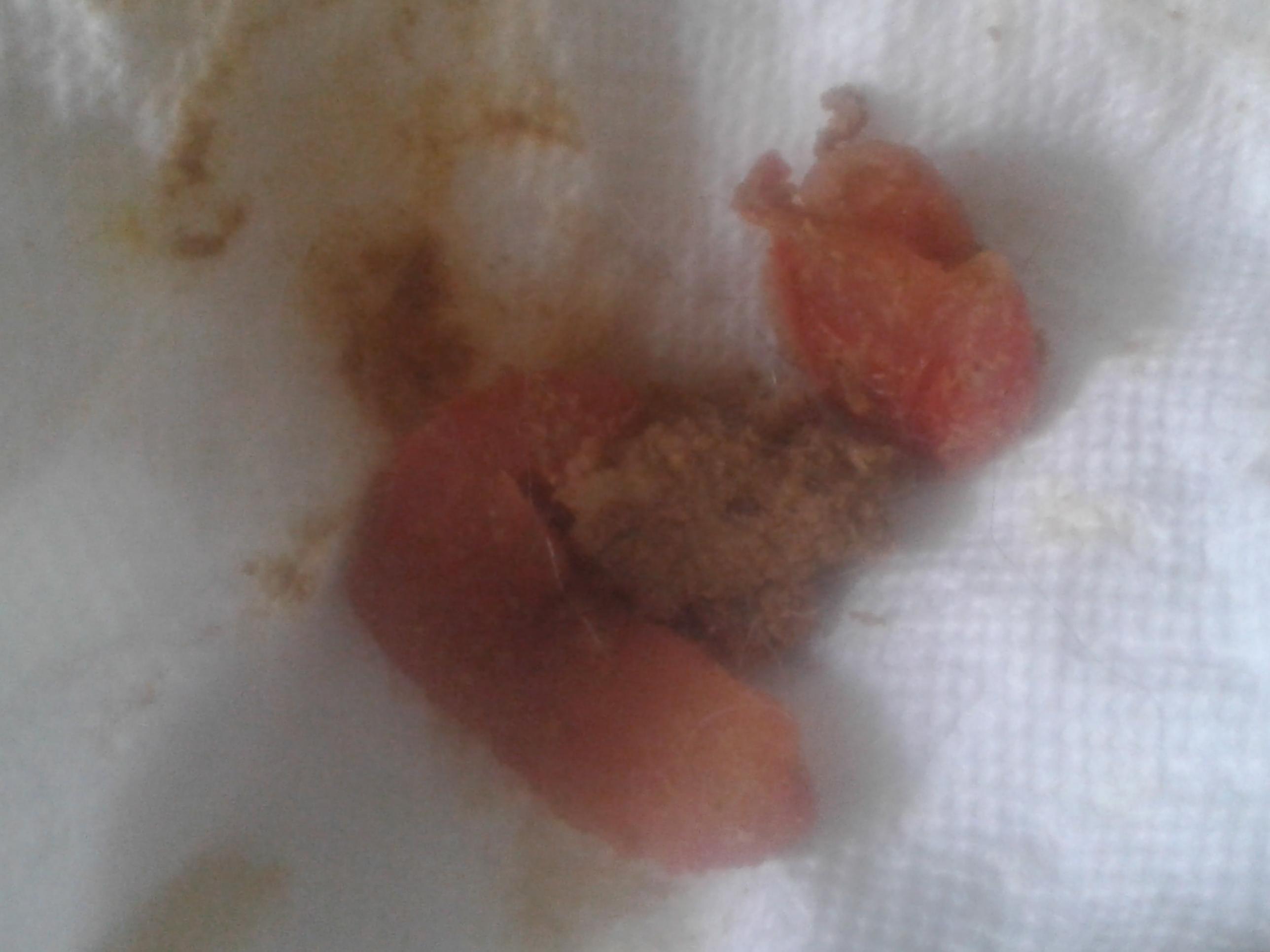 Question details sensitive content