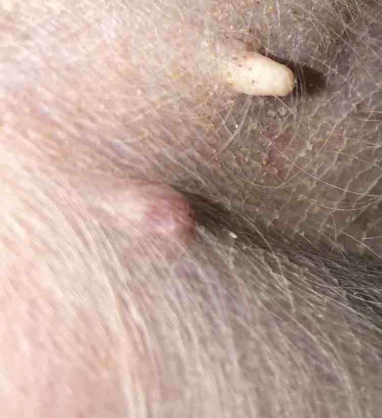 Question details sensitive content