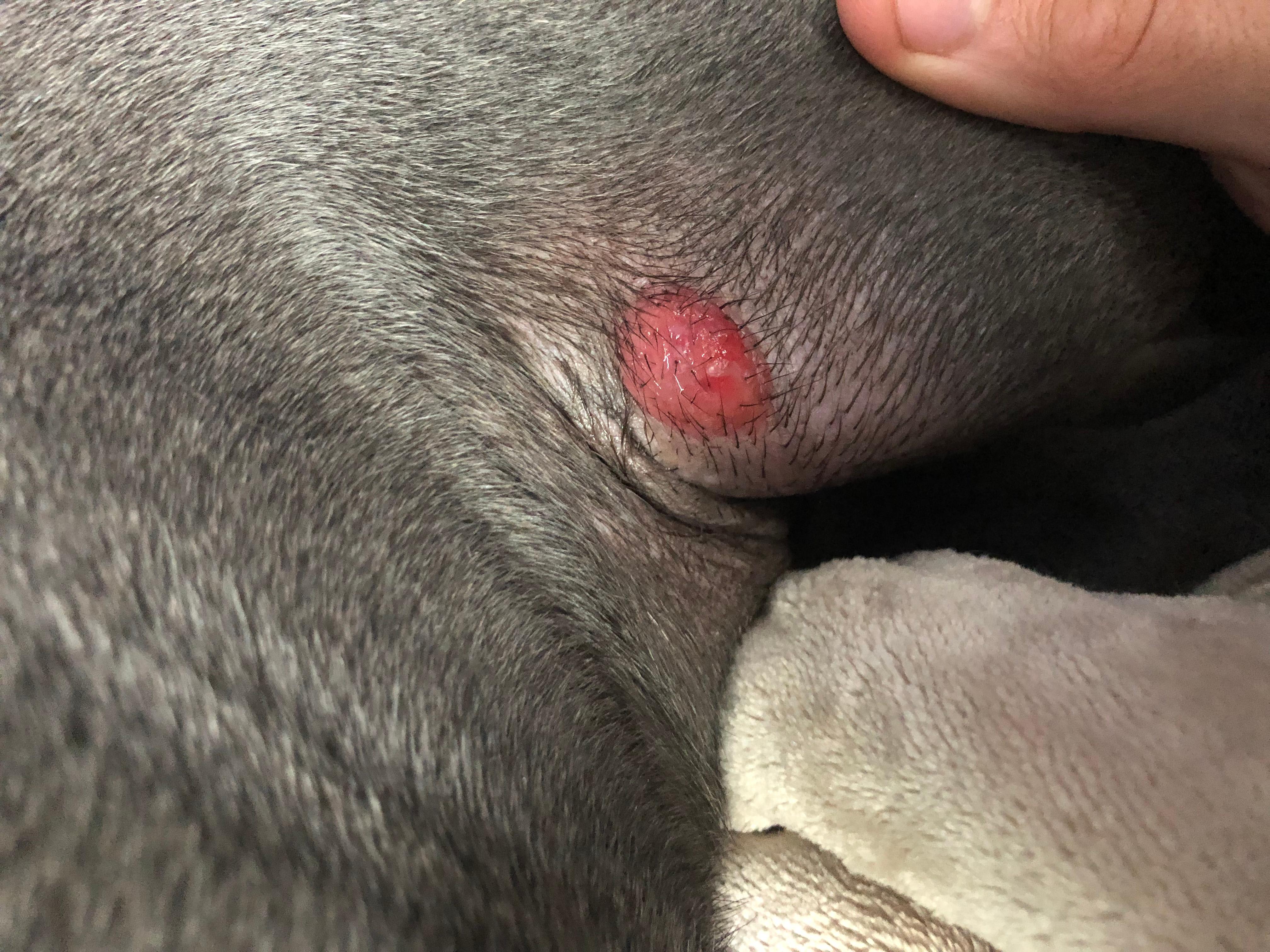 Question details sensitive content