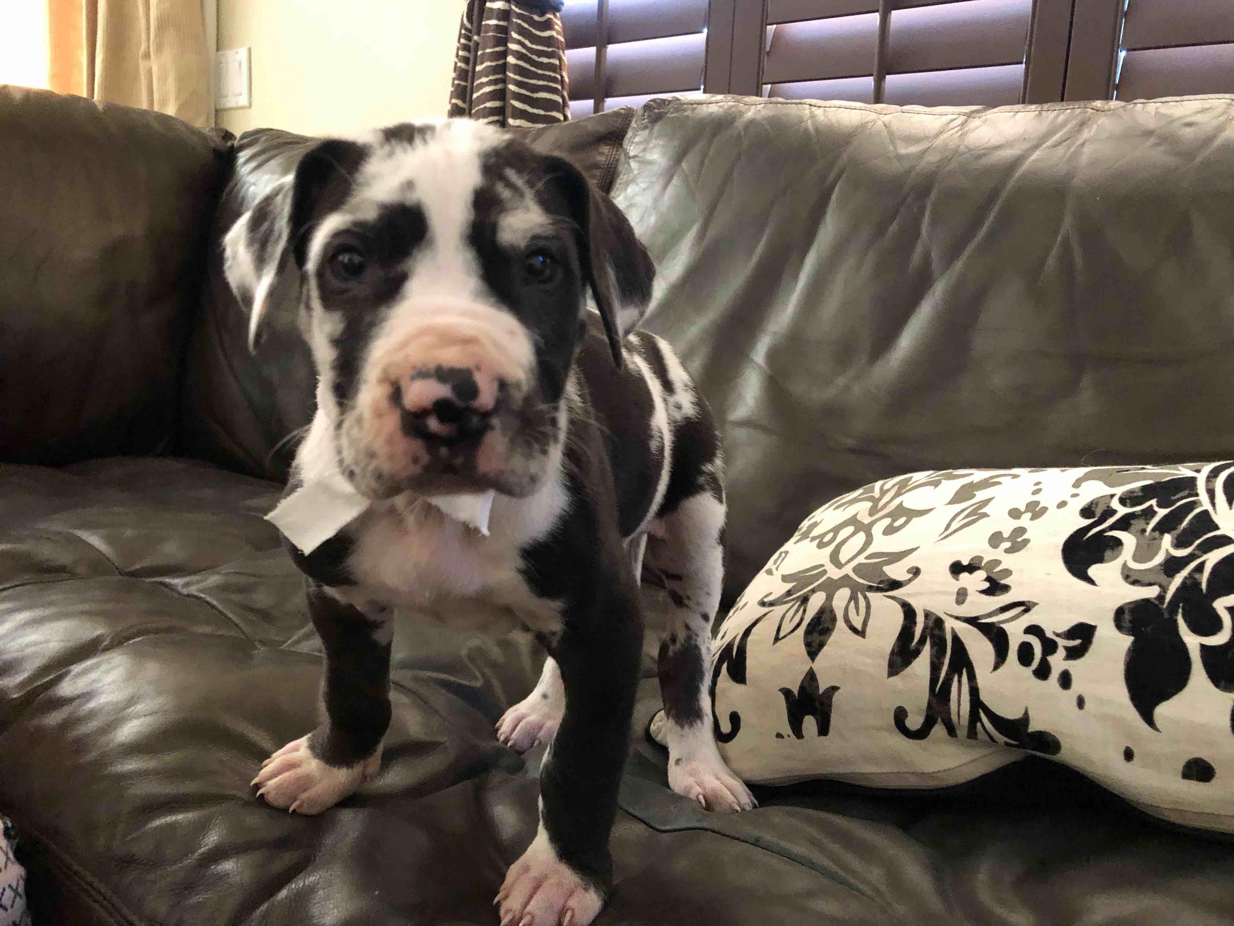 Question details sensitive content