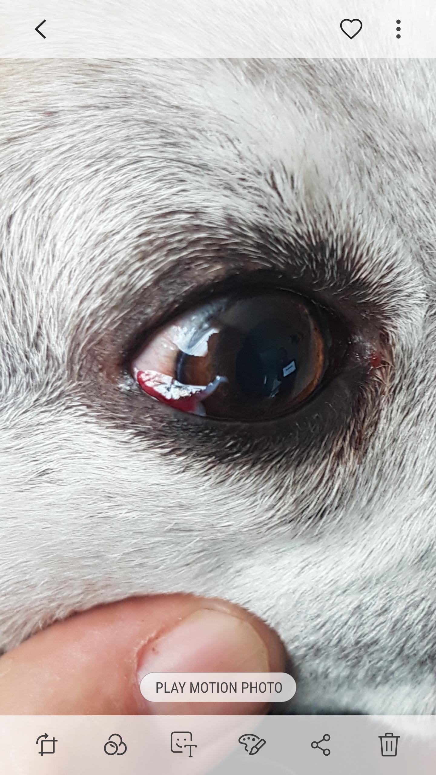 Question details sensitive content