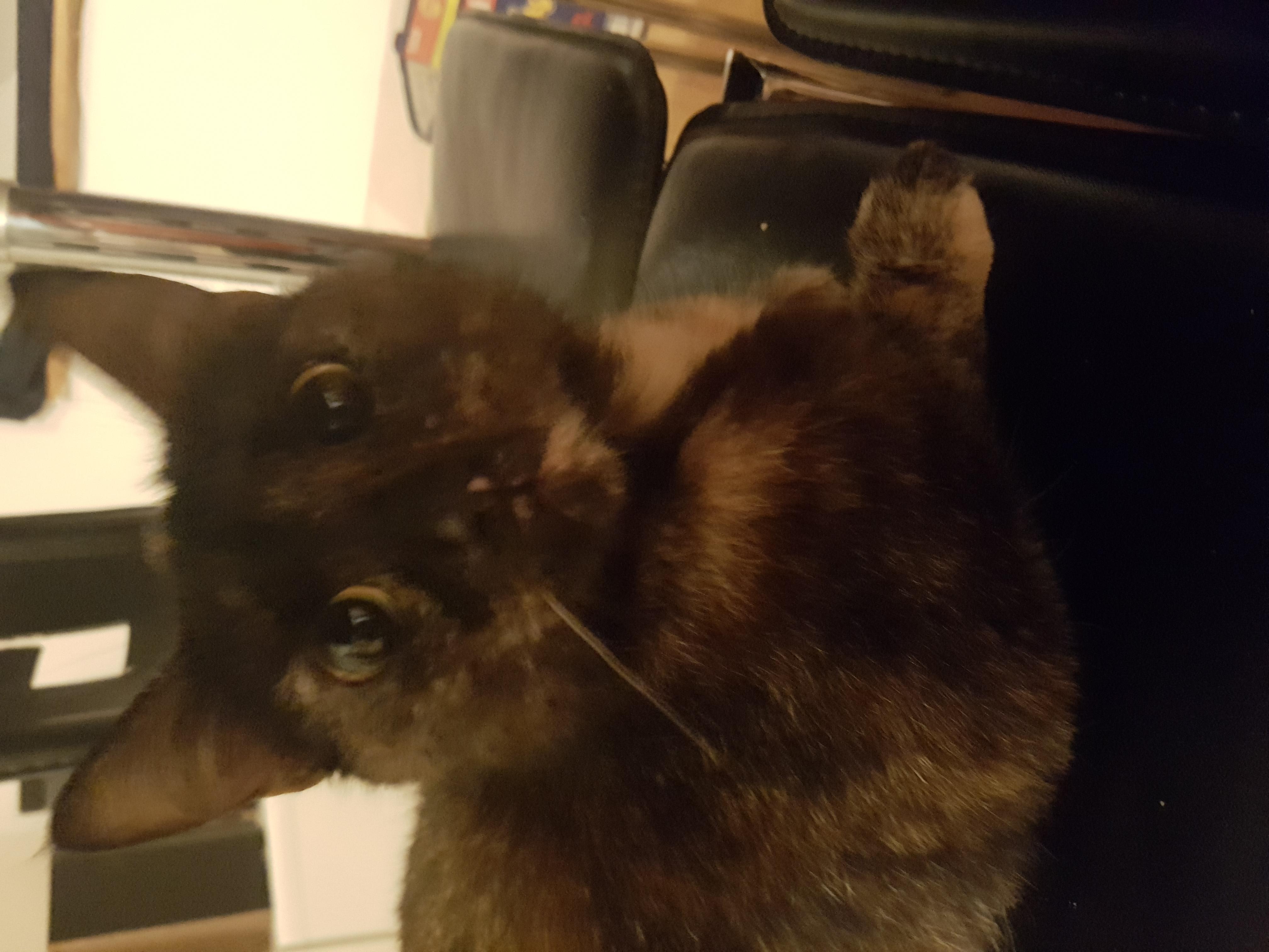 Question details sensitive content