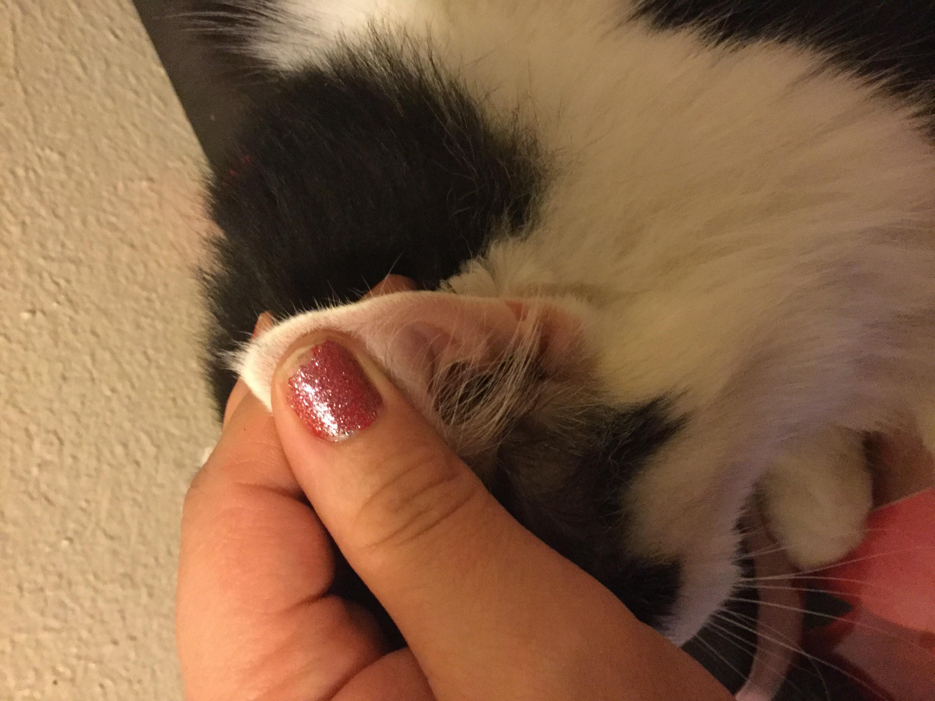 Question details sensitive content