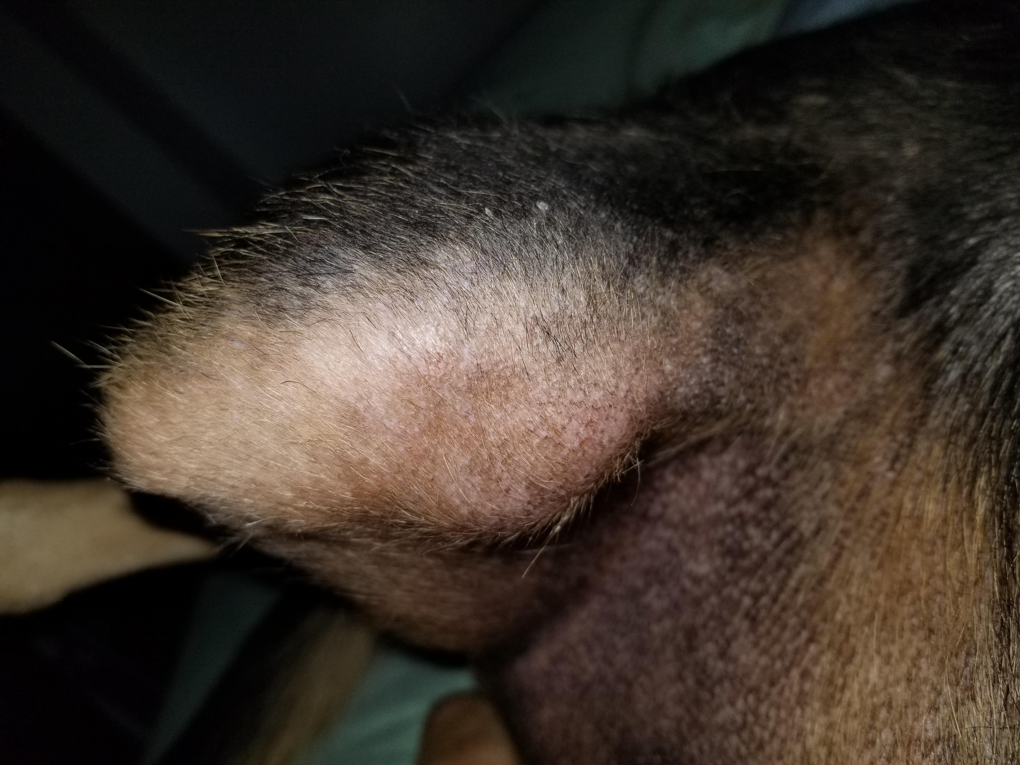 Question details sensitive content